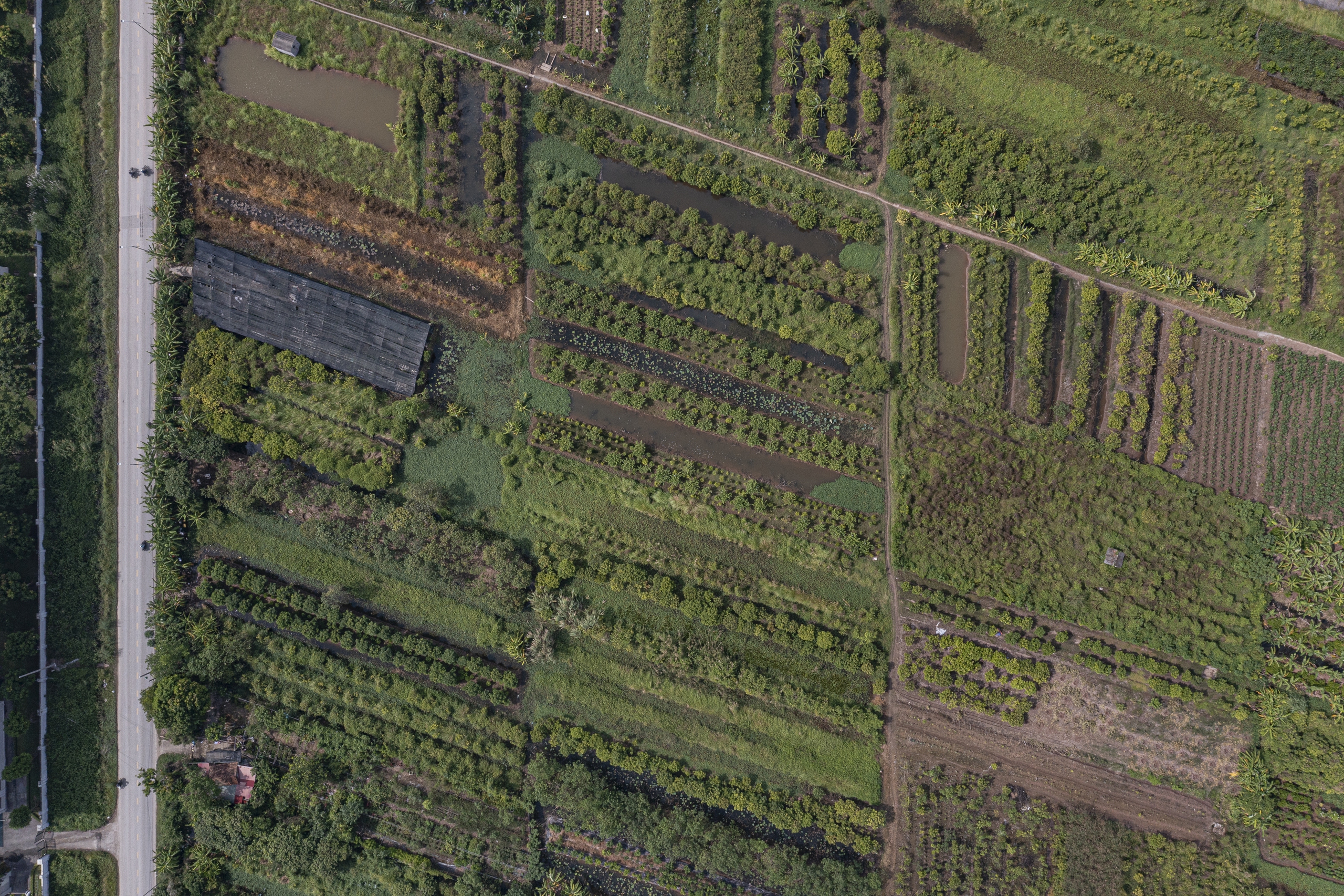 Gambar tempat di mana stadion terbesar di Vietnam akan dibangun: Fasilitas olahraga kelas dunia - Foto 8. Hình ảnh nơi sắp xây sân vận động lớn nhất Việt Nam: Công trình thể thao tầm cỡ thế giới- Ảnh 8.