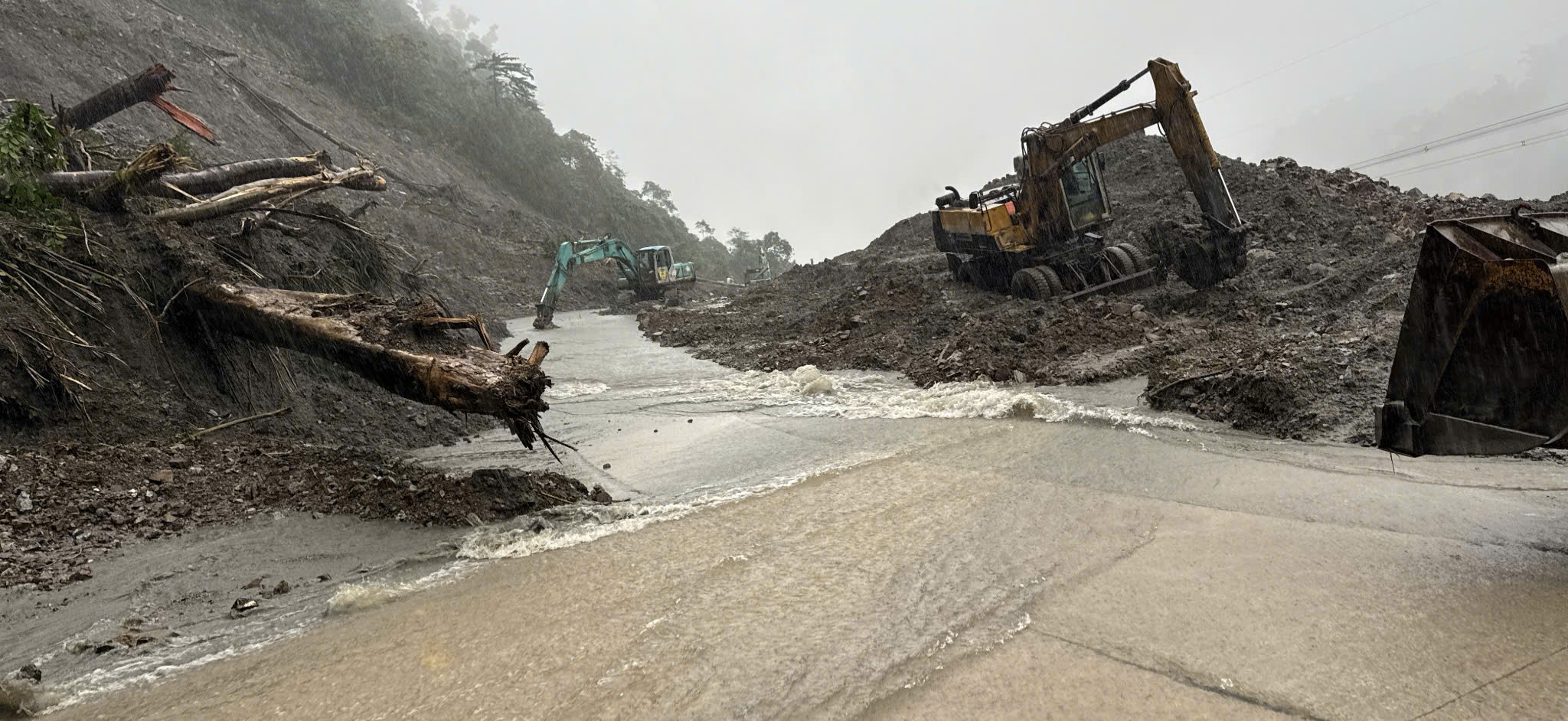 - Ảnh 1.  - Ảnh 1.