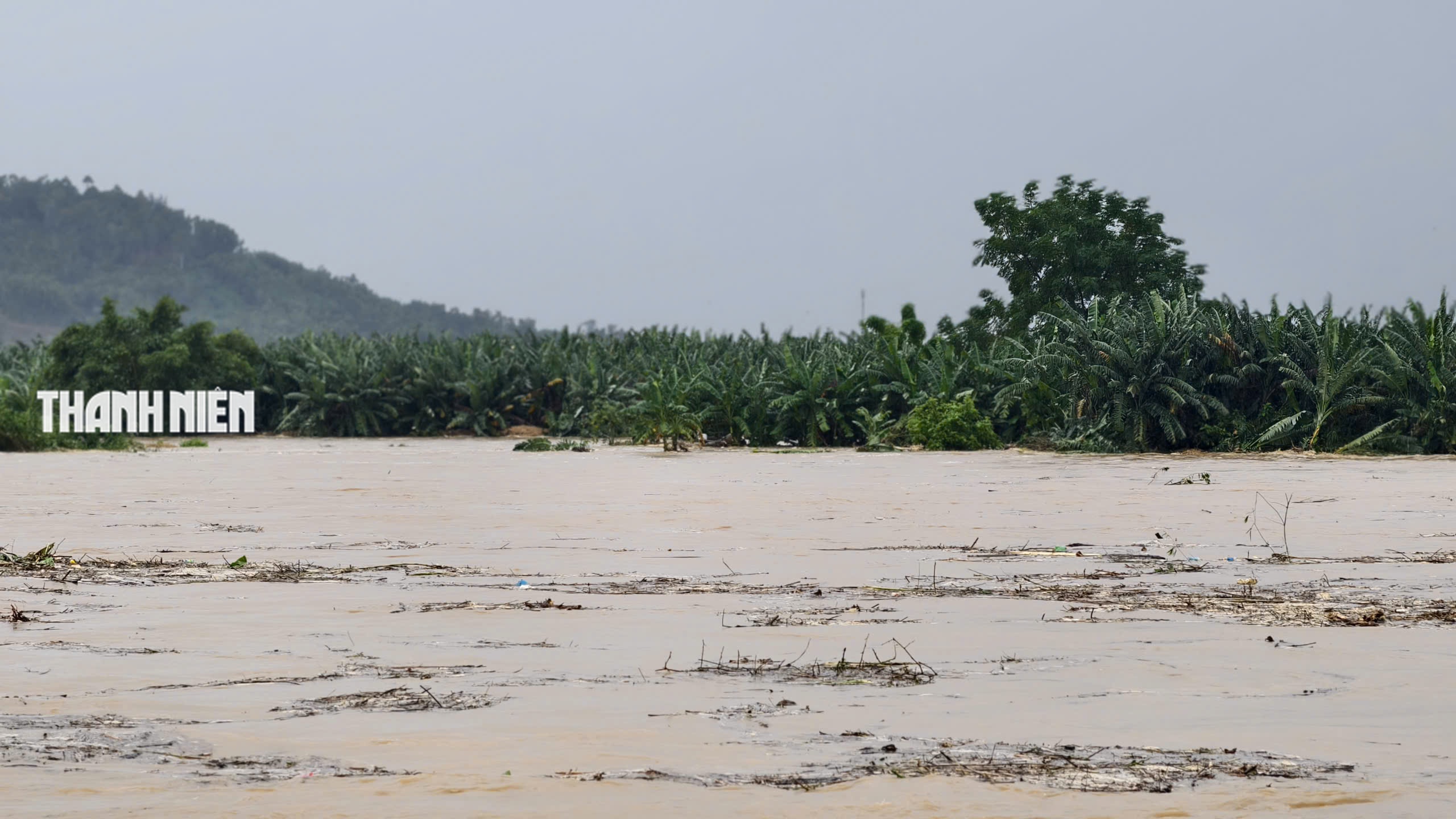 Nước lũ bao vây nhiều khu dân cư ở Quảng Ngãi- Ảnh 17. Nước lũ bao vây nhiều khu dân cư ở Quảng Ngãi- Ảnh 17.