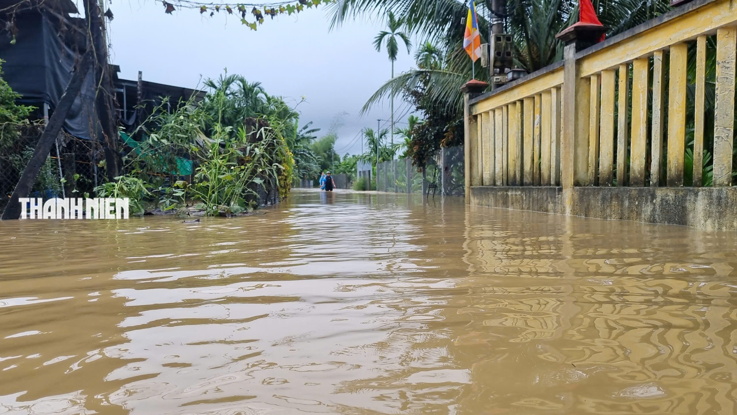 Nước lũ bao vây nhiều khu dân cư ở Quảng Ngãi- Ảnh 9. Nước lũ bao vây nhiều khu dân cư ở Quảng Ngãi- Ảnh 9.
