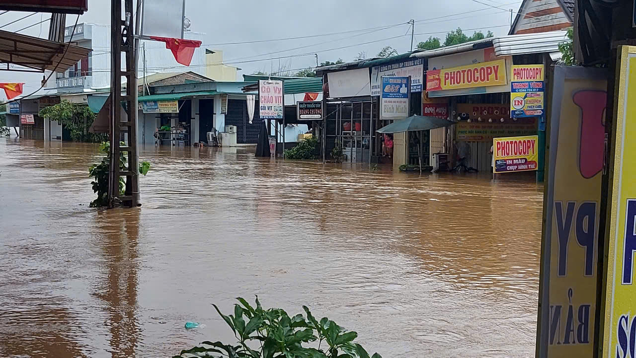 Quảng Ngãi: Tạm dừng lưu thông qua cầu Trà Khúc 1 do nước lũ dâng cao- Ảnh 3.