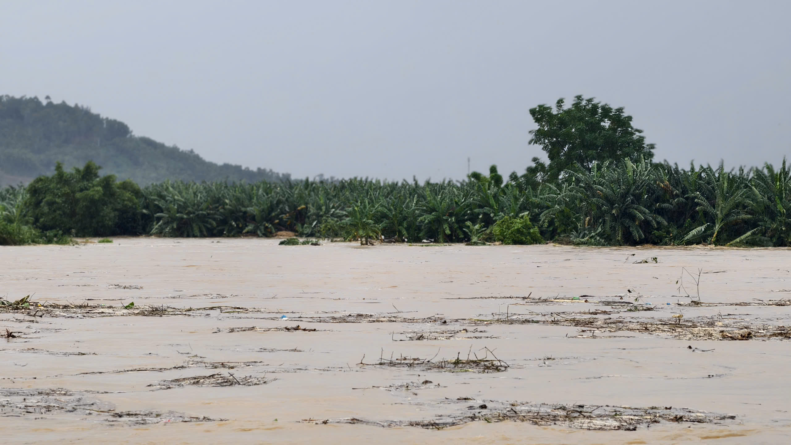 Giải cứu 8 người dân mắc kẹt giữa dòng lũ dữ trên sông Trà Khúc- Ảnh 3. Giải cứu 8 người dân mắc kẹt giữa dòng lũ dữ trên sông Trà Khúc- Ảnh 3.