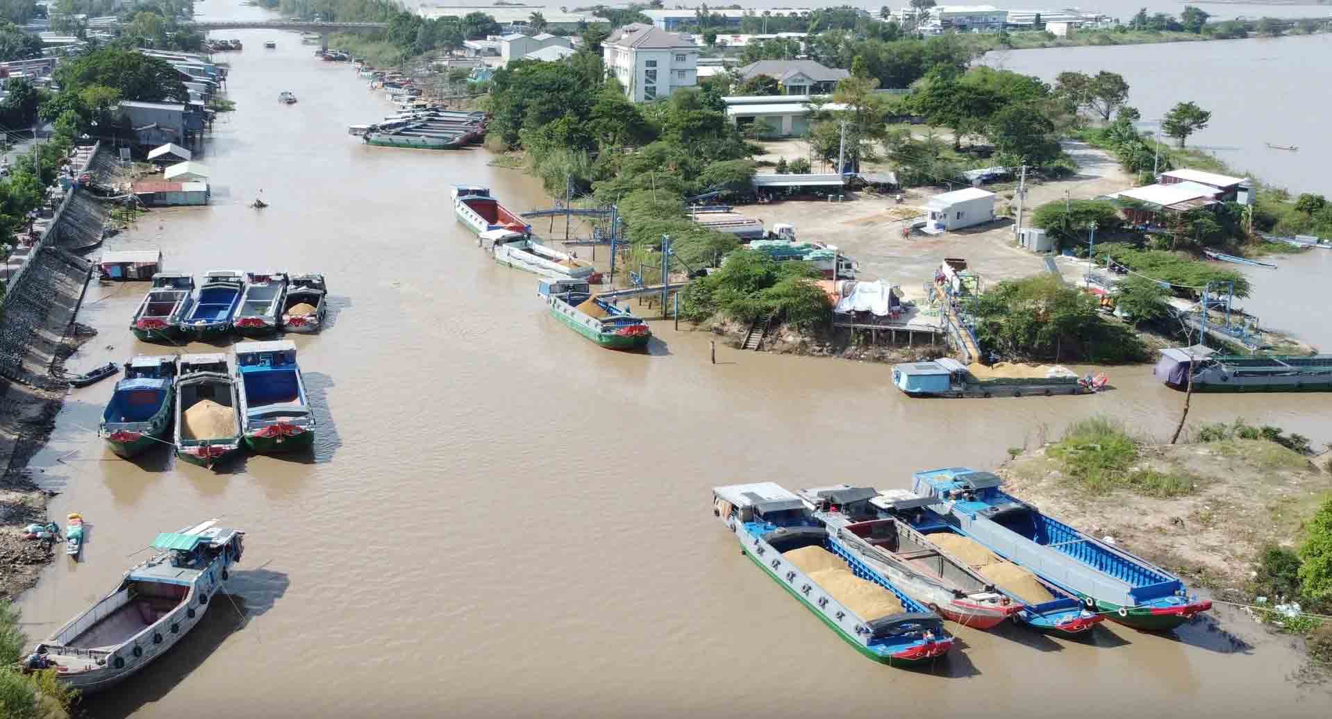 Việt Nam chi 1,5 tỉ USD nhập gạo, có đáng lo?- Ảnh 2.
