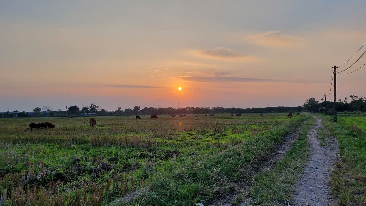 C&ugrave;ng sống xanh số 127: B&iacute; k&iacute;p l&agrave;m nước tẩy rửa đa năng từ thảo dược - Ảnh 2.