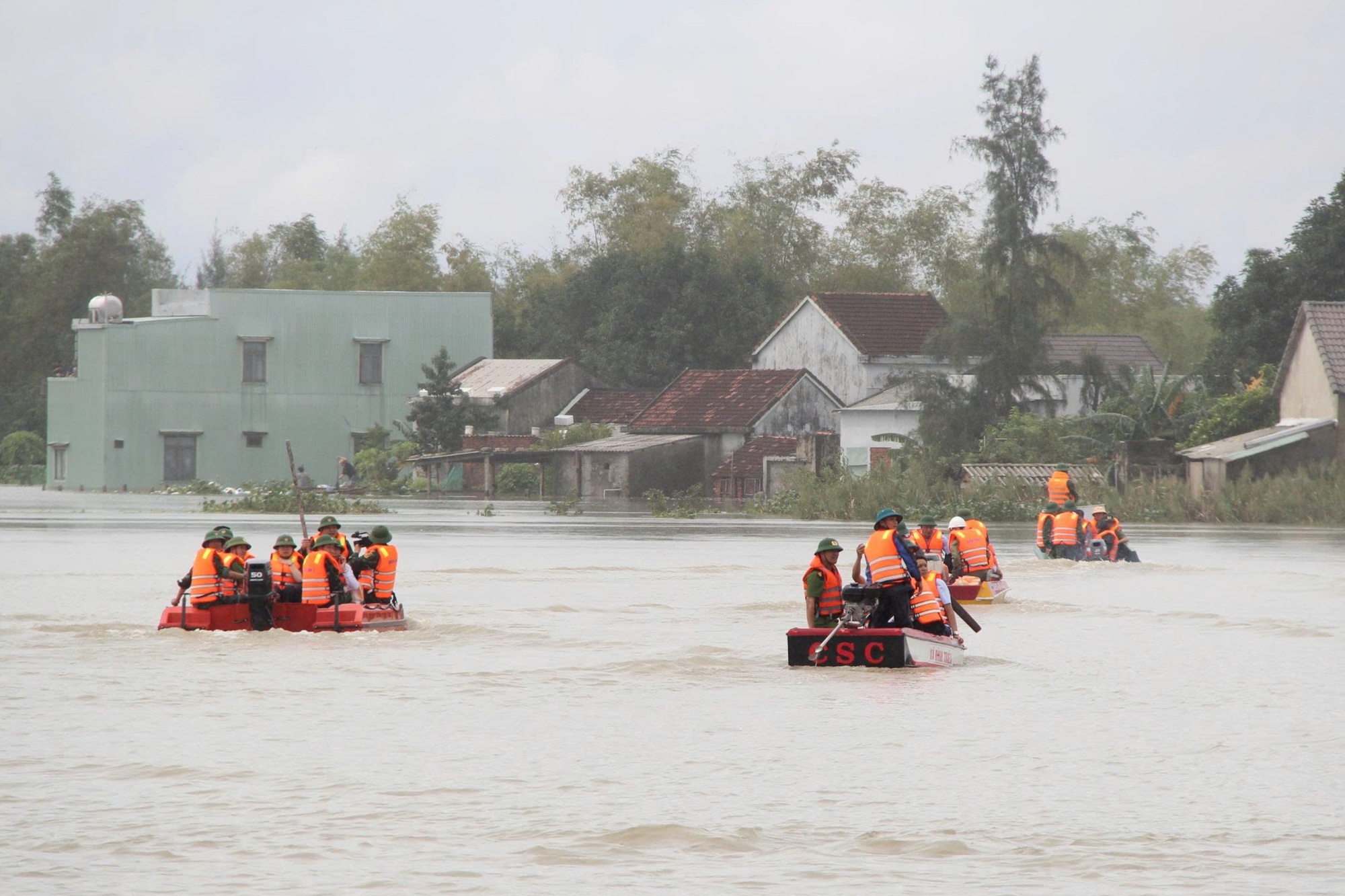 - Ảnh 1.  - Ảnh 1.