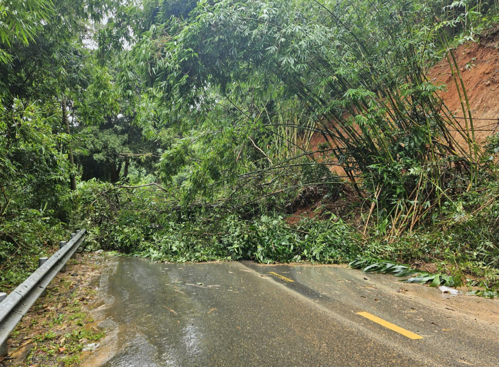 Sạt lở đèo Gia Bắc nghiêm trọng gây tê liệt QL28 nối Phan Thiết với Di Linh - Ảnh 4. Sạt lở đèo Gia Bắc nghiêm trọng gây tê liệt QL28 nối Phan Thiết với Di Linh - Ảnh 4.
