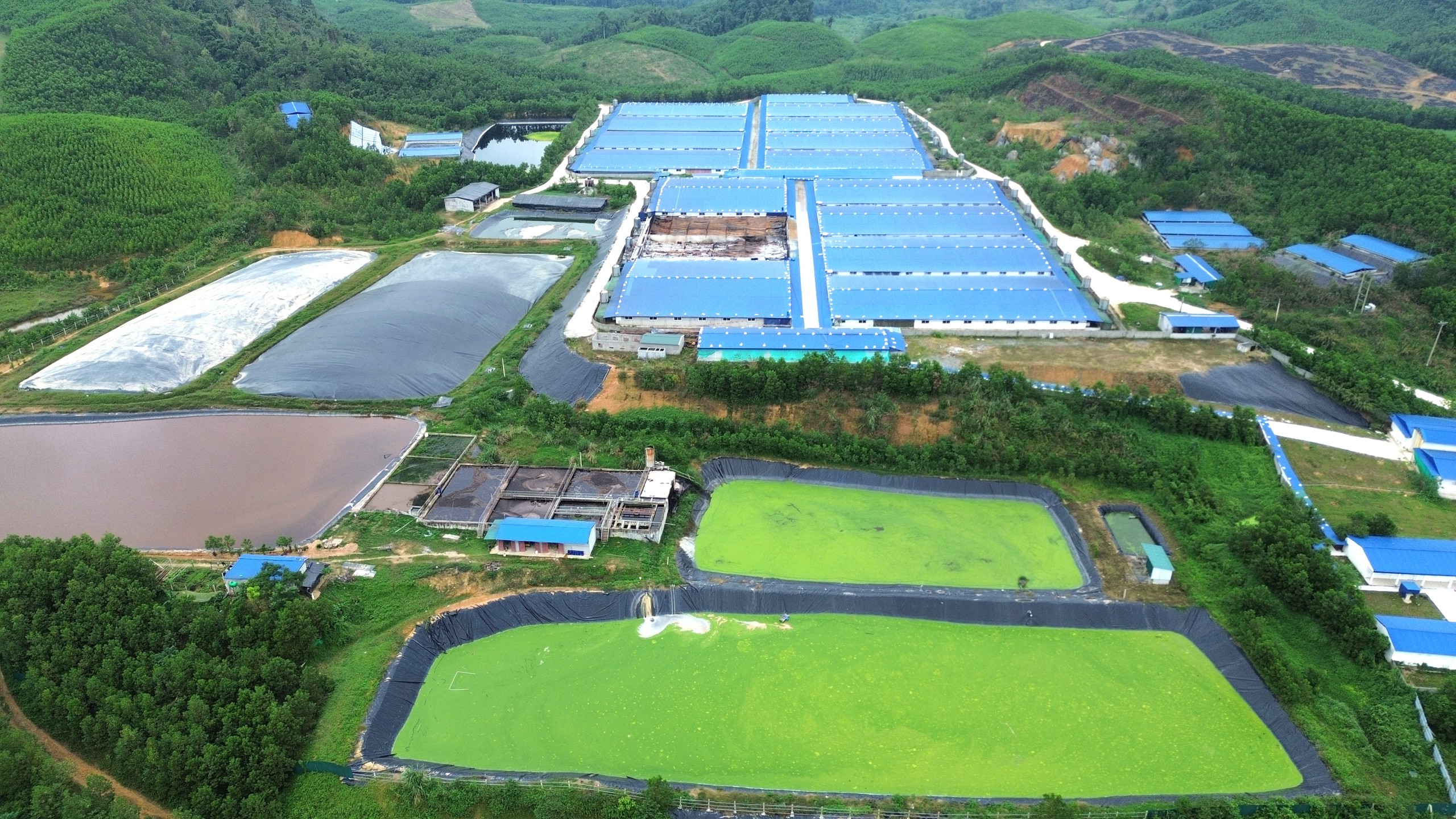 Người dân dựng rạp, tập trung phản đối trại lợn gây mùi hôi thối- Ảnh 2. Người dân dựng rạp, tập trung phản đối trại lợn gây mùi hôi thối- Ảnh 2.