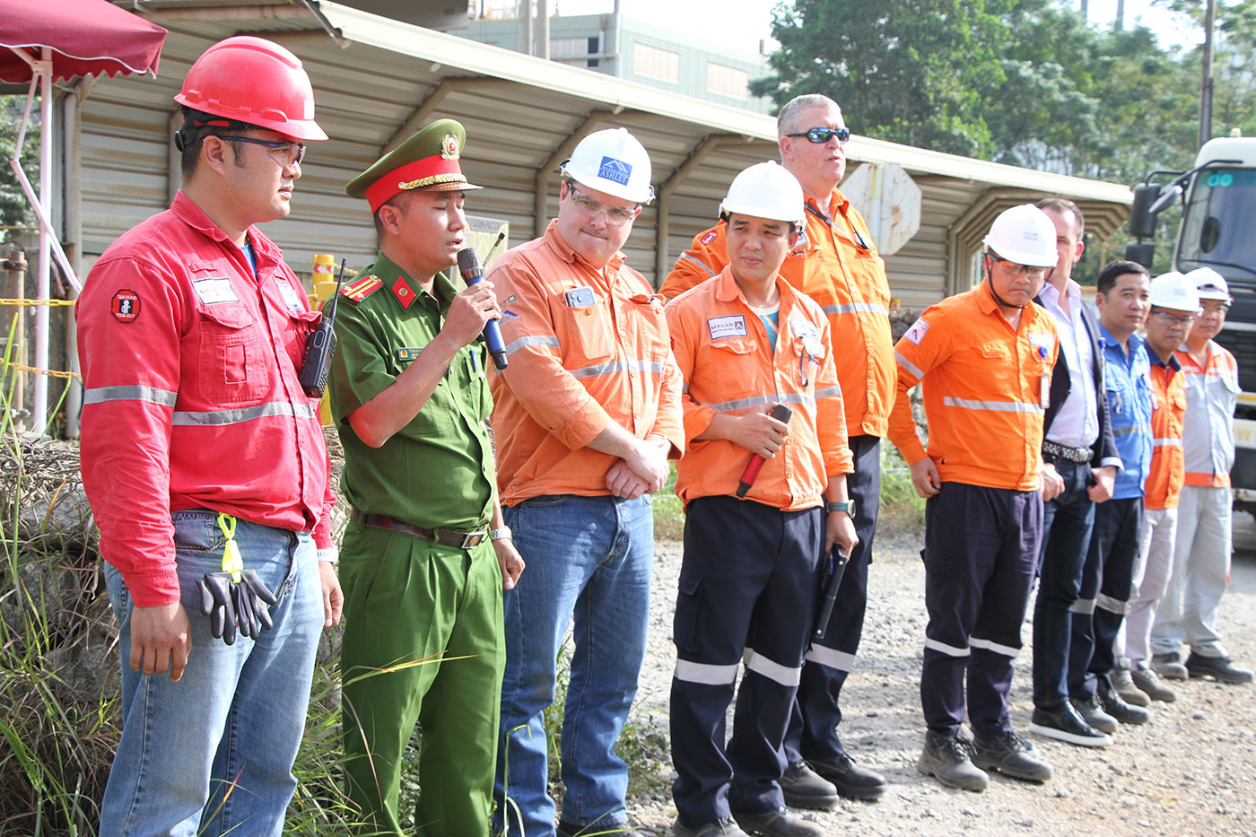 - Ảnh 1.  - Ảnh 1.