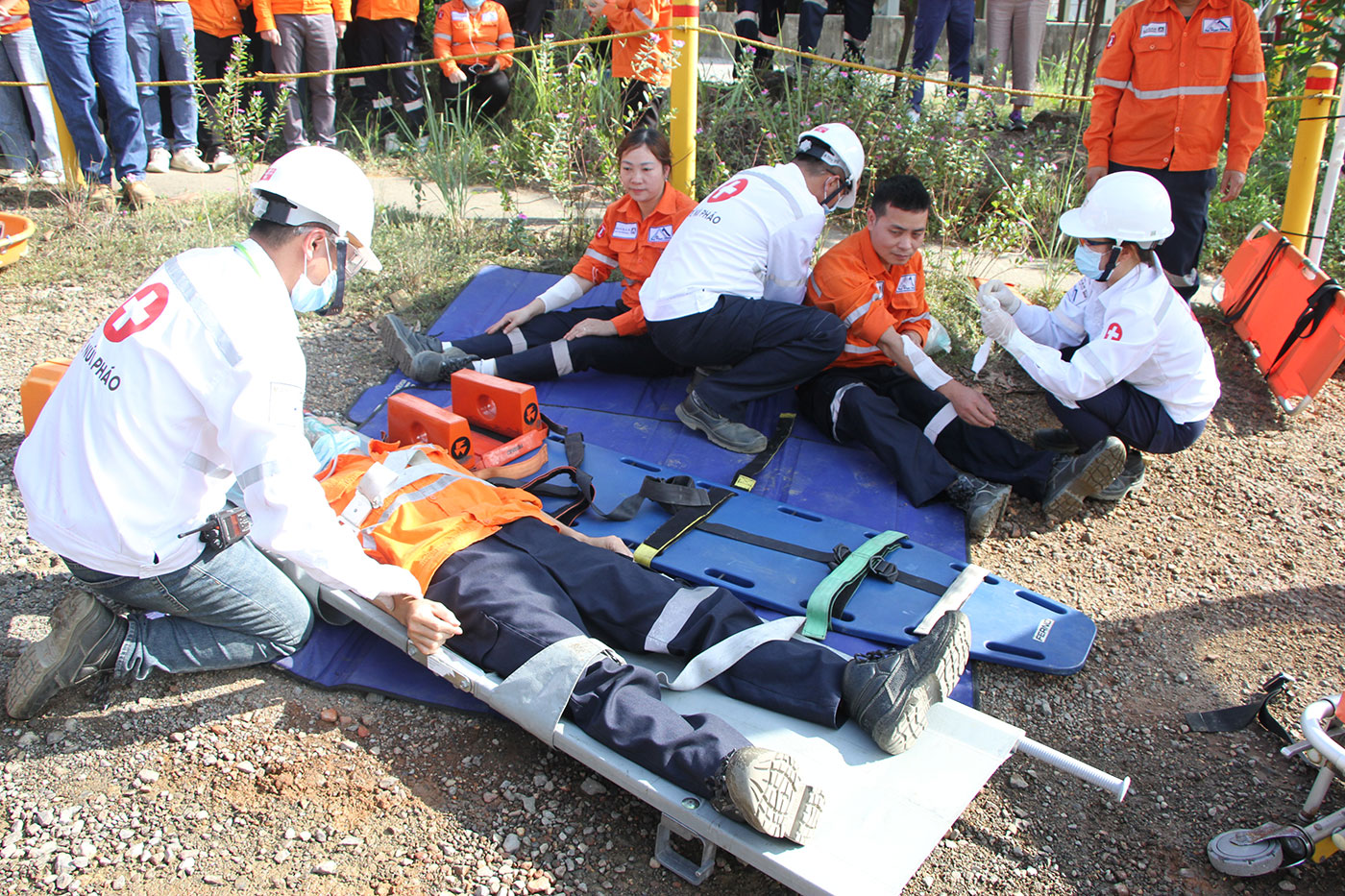 - Ảnh 3.  - Ảnh 3.