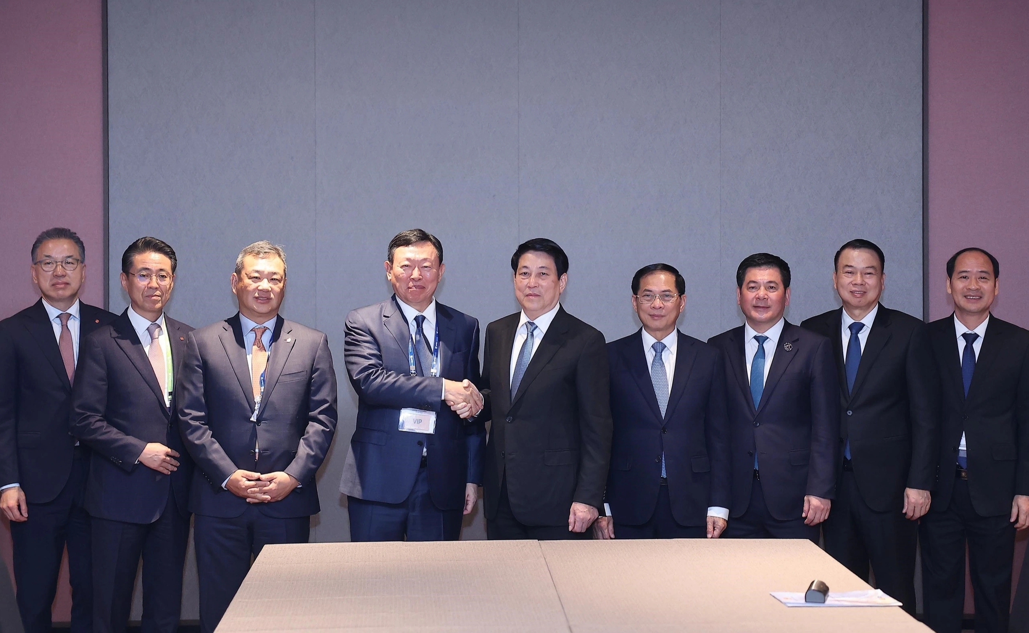 Chủ tịch nước Lương Cường gặp lãnh đạo các tập đoàn lớn - Ảnh 1.