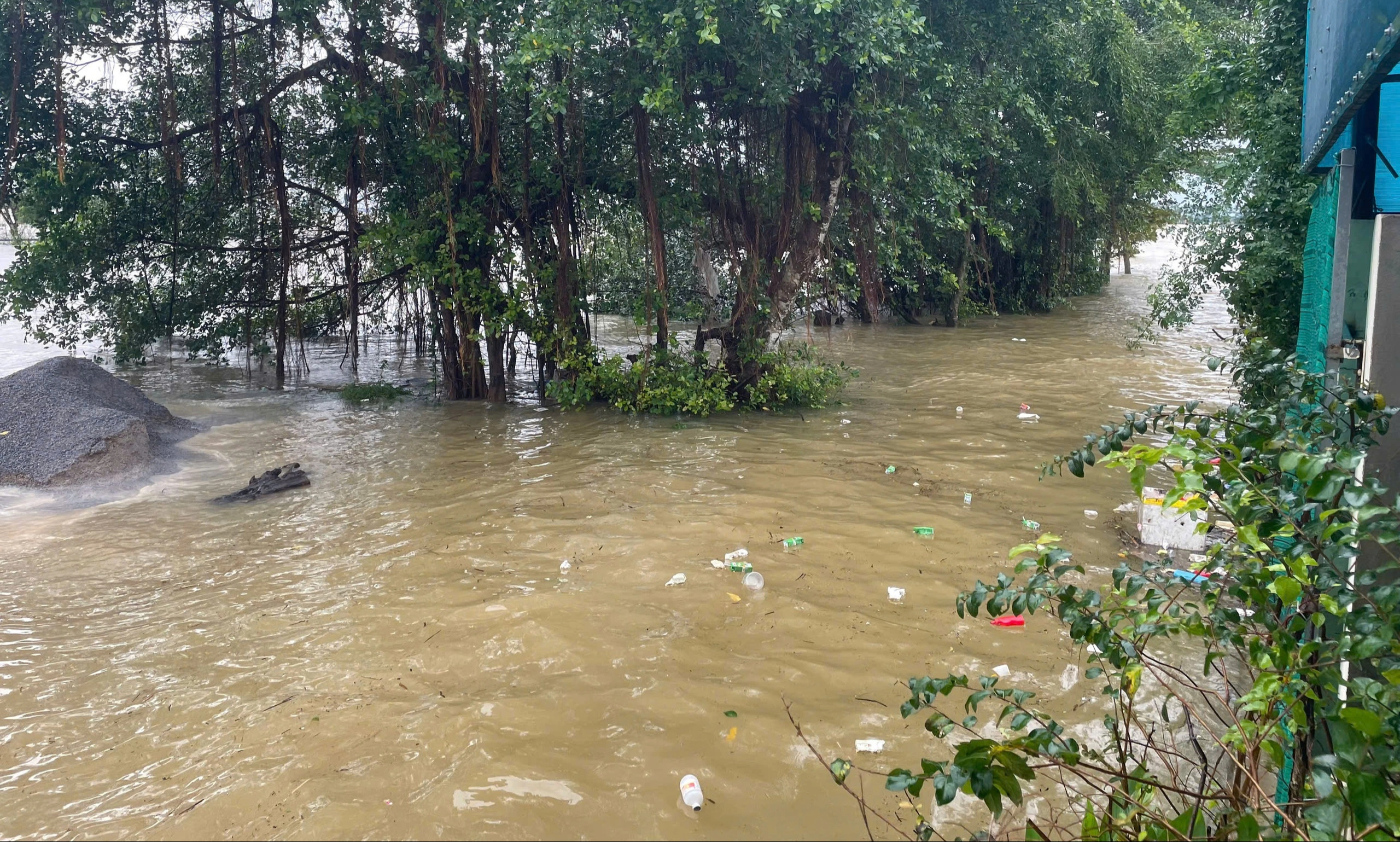 Vùng trũng Lệ Thủy ở Quảng Trị ngập sâu do mưa lớn - Ảnh 2.