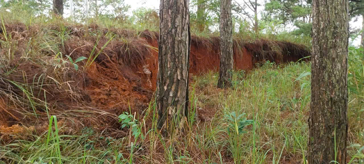Nguy cơ từ quả đồi nứt toác trên điểm sạt lở ở đèo D'Ran- Ảnh 3. Nguy cơ từ quả đồi nứt toác trên điểm sạt lở ở đèo D'Ran- Ảnh 3.