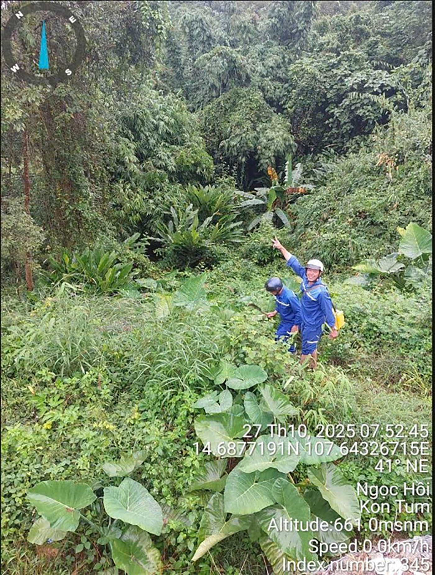 - Ảnh 4.  - Ảnh 4.