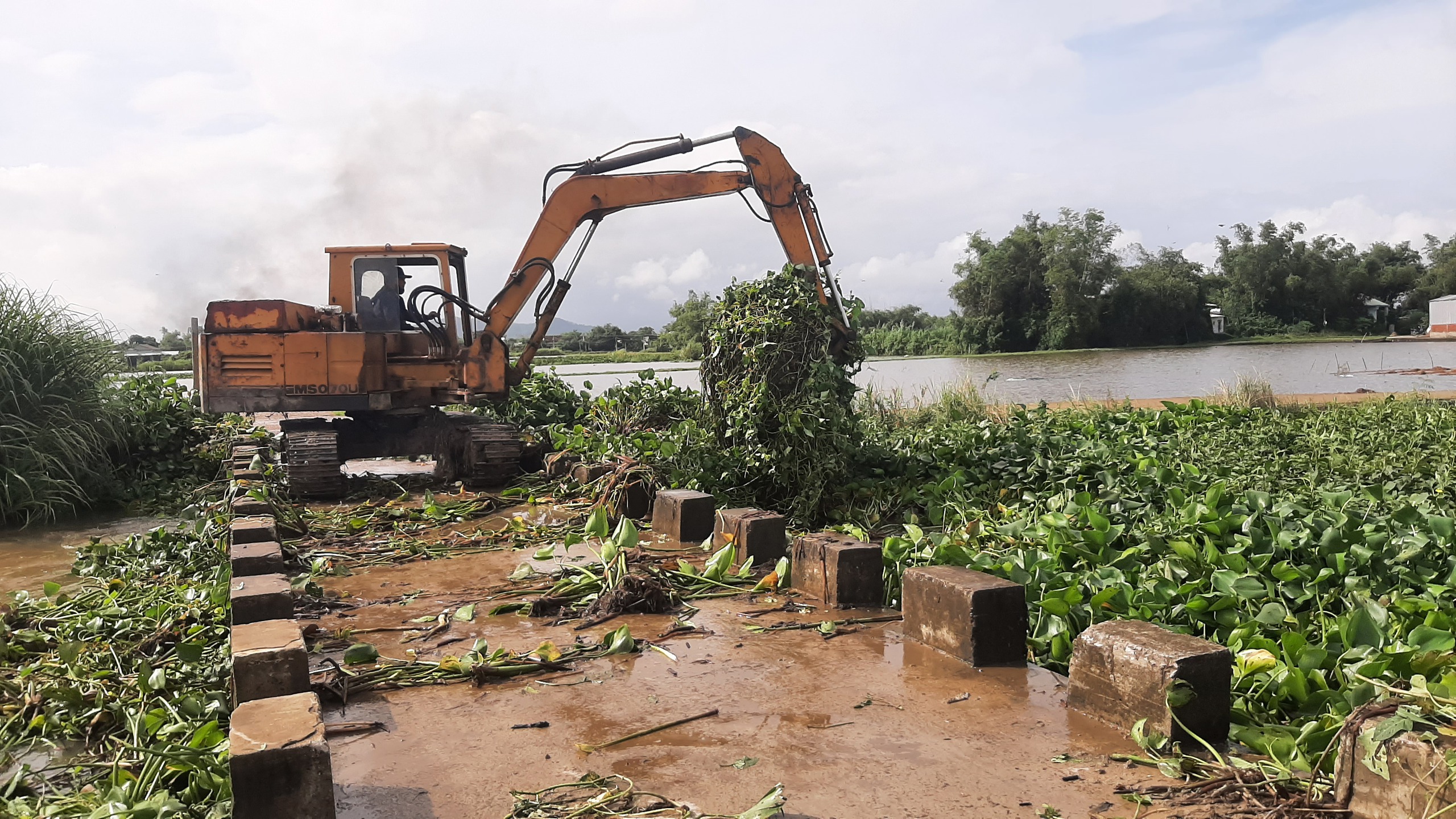 Gia Lai: Ngập lụt phía hạ lưu sông Kôn, nhiều trường học phải đóng cửa - Ảnh 7.