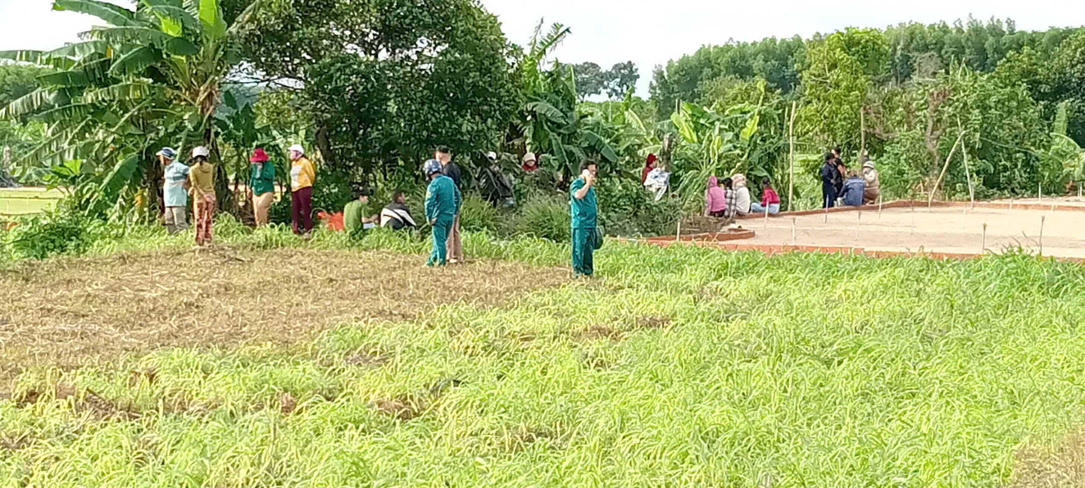 - Ảnh 1.  - Ảnh 1.