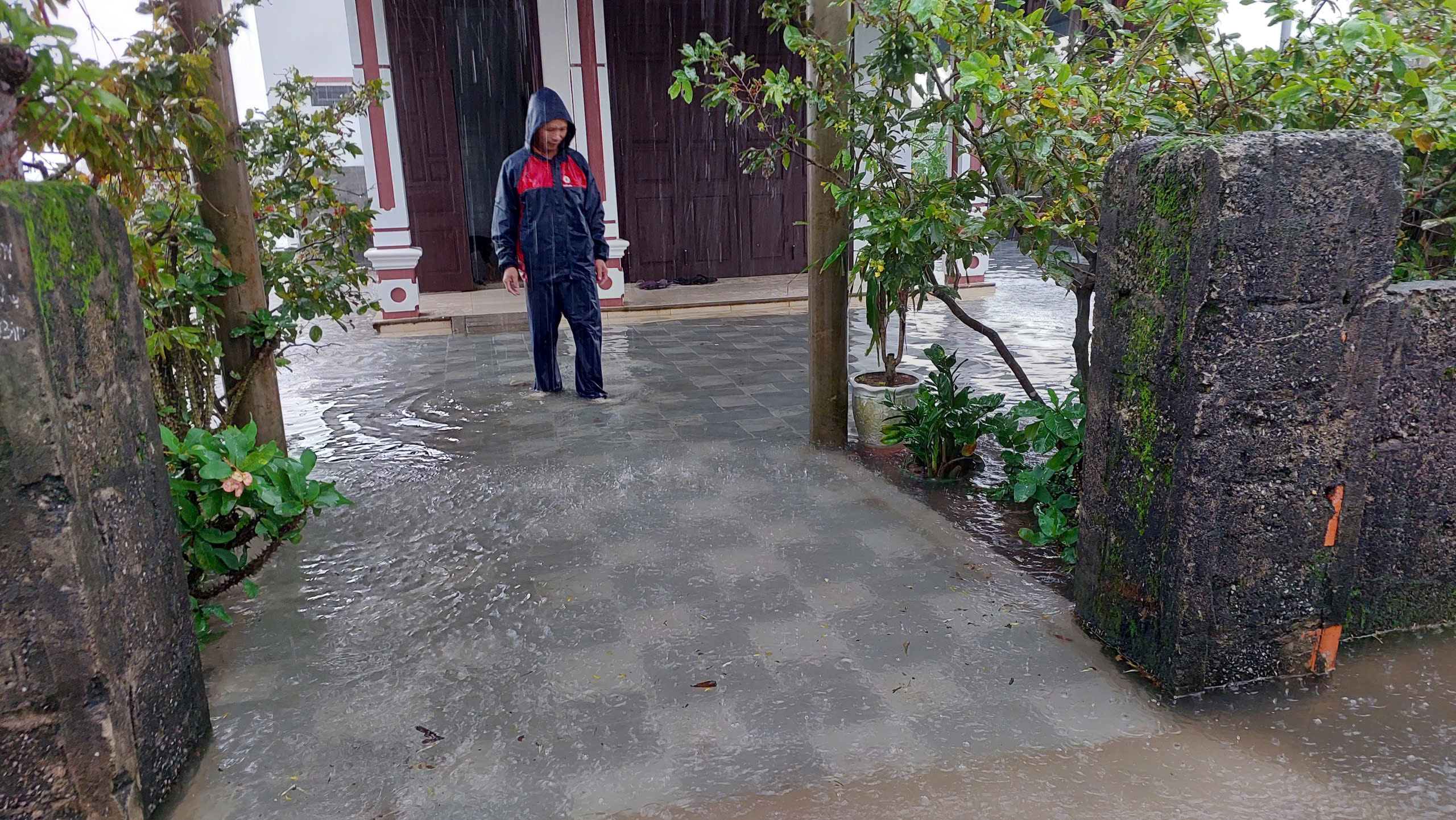 - Ảnh 2.  - Ảnh 2.