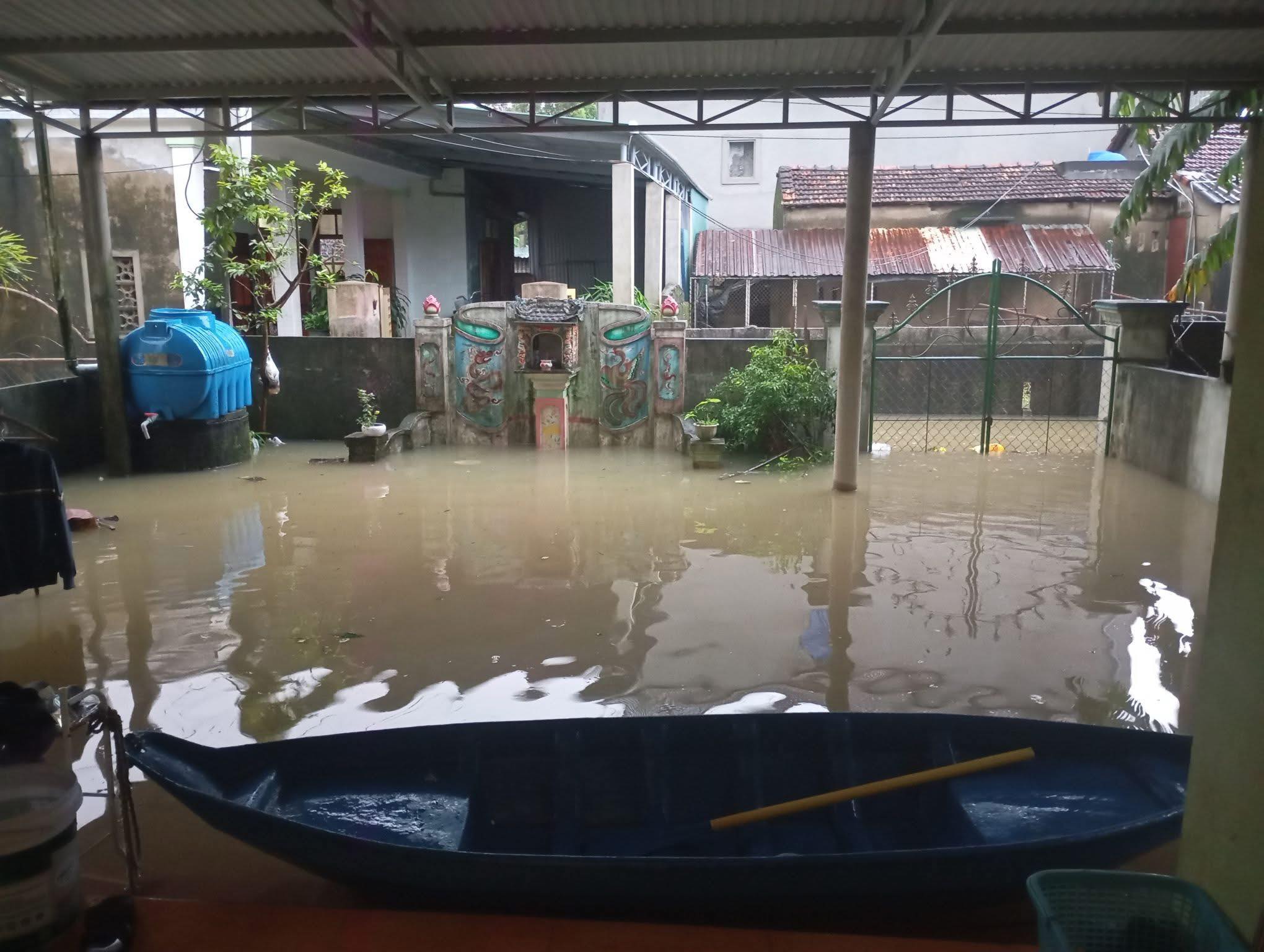 - Ảnh 4.  - Ảnh 4.