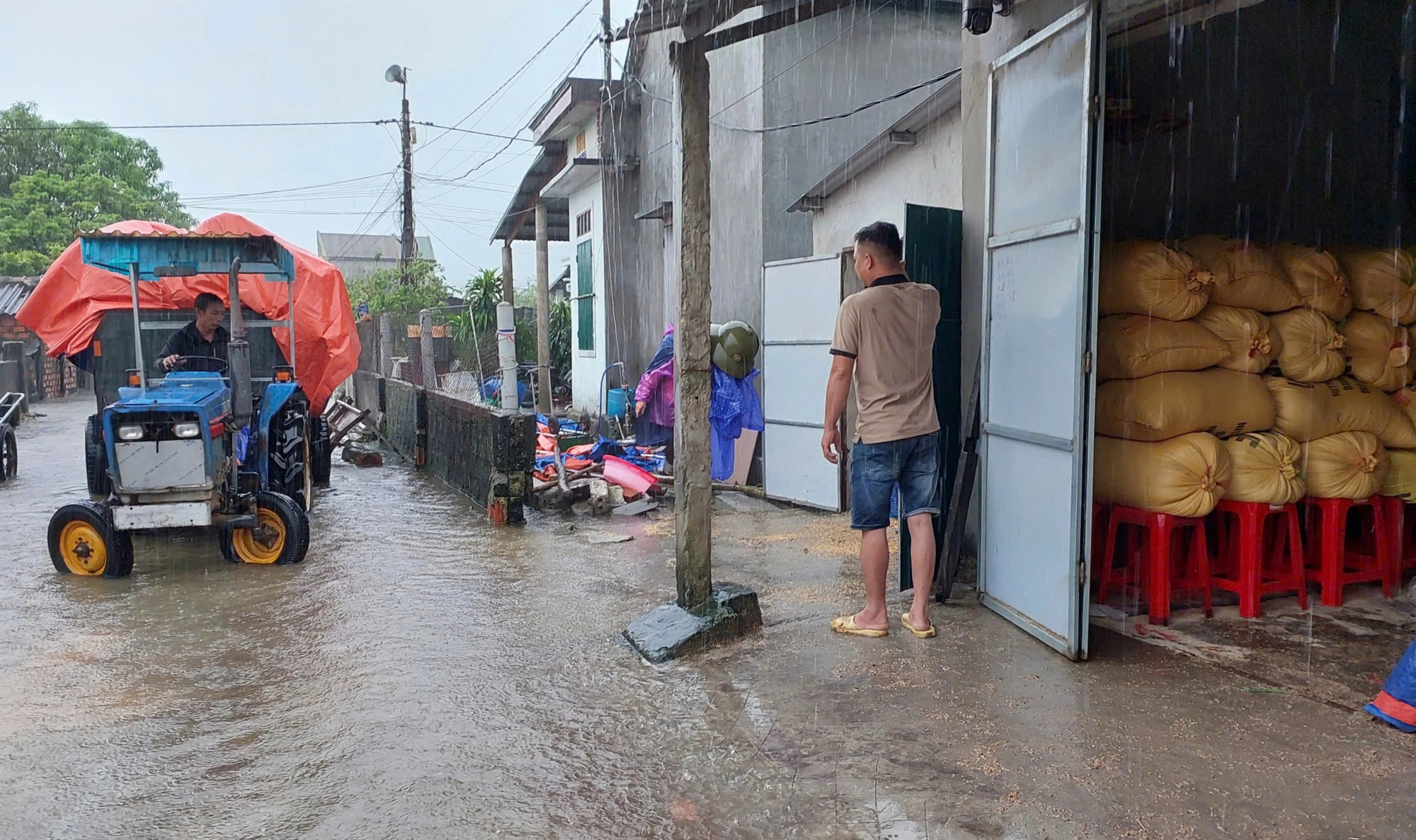 - Ảnh 1.  - Ảnh 1.