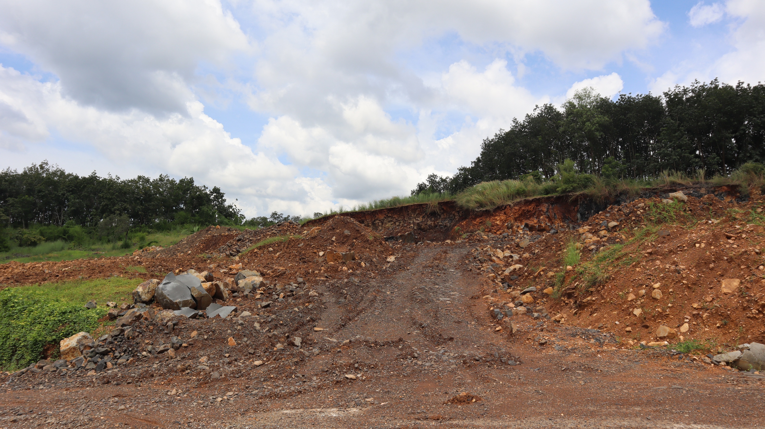 Đề nghị xử lý vụ 'khai thác đá để trồng điều' báo Thanh Niên phản ánh - Ảnh 1.