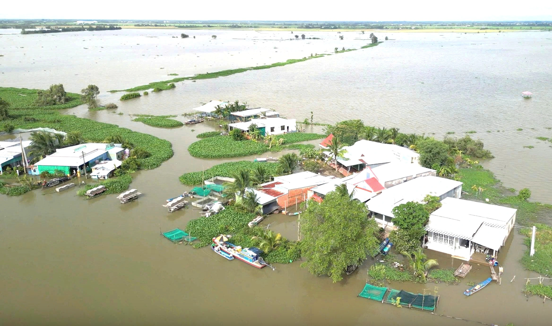 ĐBSCL lũ cao, sắp đón đợt triều cường vượt báo động 3 - Ảnh 1. ĐBSCL lũ cao, sắp đón đợt triều cường vượt báo động 3 - Ảnh 1.