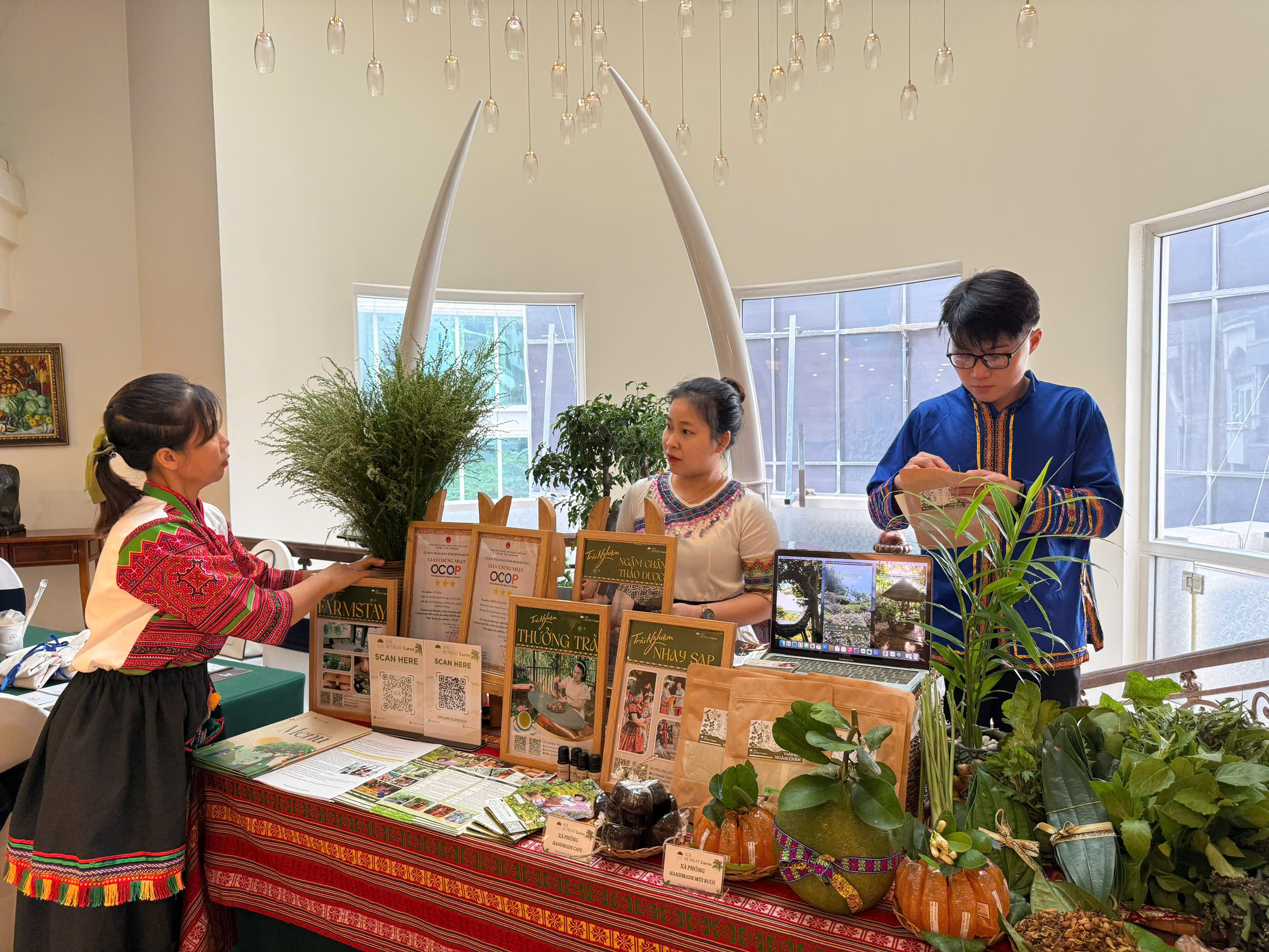 Kiều bào về nước khám bệnh kết hợp nghỉ dưỡng ngày một nhiều- Ảnh 2. Kiều bào về nước khám bệnh kết hợp nghỉ dưỡng ngày một nhiều- Ảnh 2.