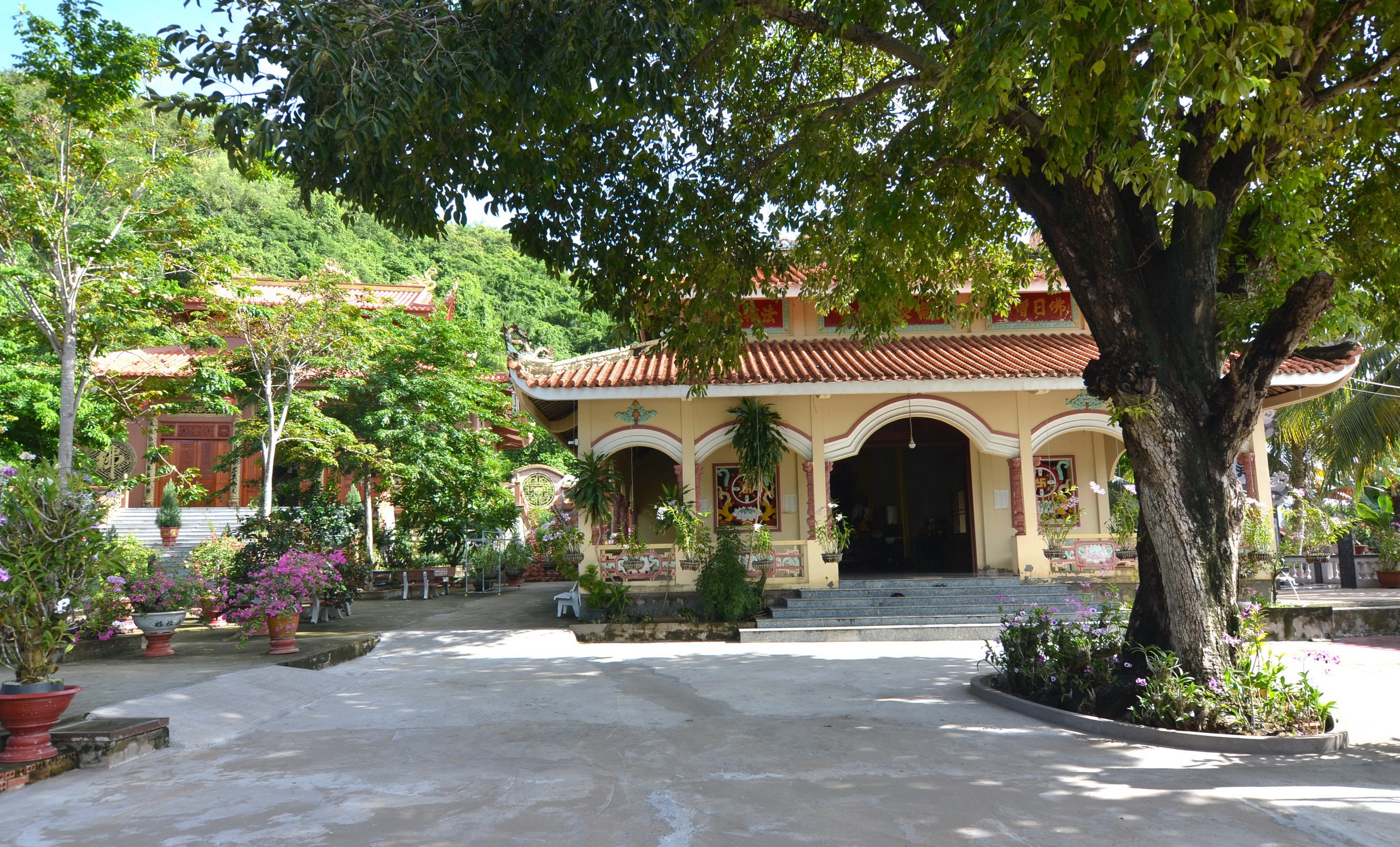 Mysterious That Son: ឧបករណ៍ចម្លែកនៅវត្ត Nam Can - រូបថត ១. Thất Sơn huyền bí: Cây đàn lạ ở chùa Năm Căn- Ảnh 1.