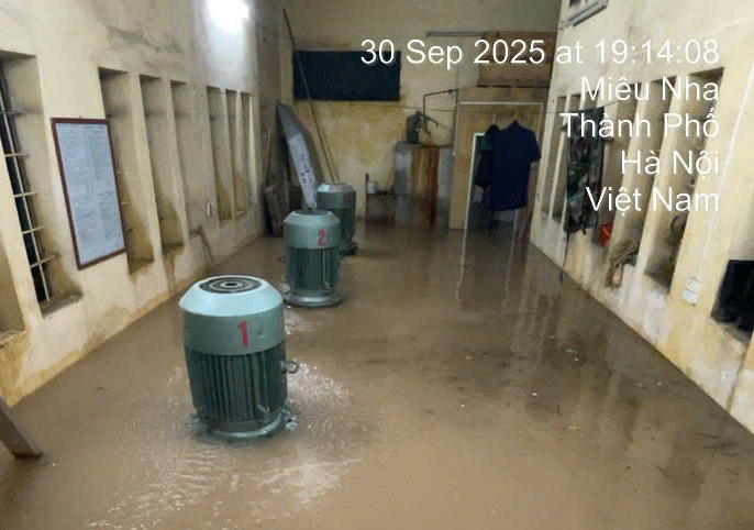 Nước lũ 5 ng&agrave;y chưa r&uacute;t, người H&agrave; Nội đến phường trải chiếu 'cầu cứu'- Ảnh 9.