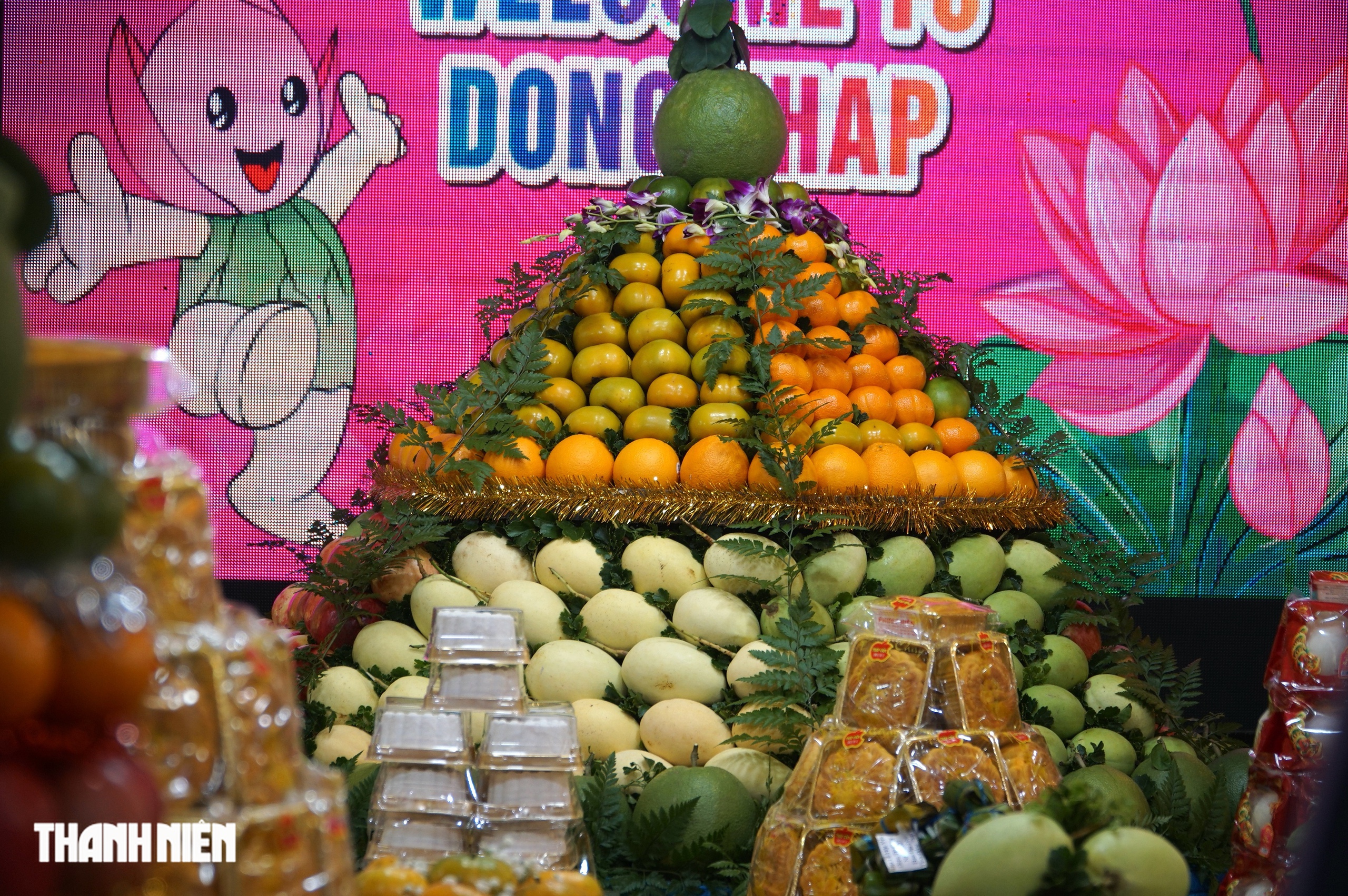 Đại lễ Hội yến Diêu Trì Cung 2025: Khám phá sắc màu rực rỡ từ cộng đồng - Ảnh 9. Đại lễ Hội yến Diêu Trì Cung 2025: Khám phá sắc màu rực rỡ từ cộng đồng - Ảnh 9.