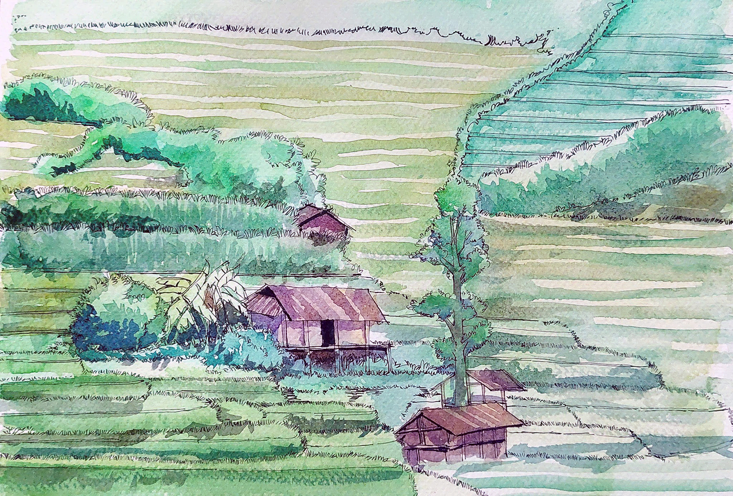 អាថ៍កំបាំងនៃសម្រស់ដ៏ស្រស់បំព្រងនៃវាលរាបស្មើរ Mu Cang Chai - រូបថត ១១. Bí mật vẻ đẹp mê hồn ruộng bậc thang Mù Cang Chải- Ảnh 11.