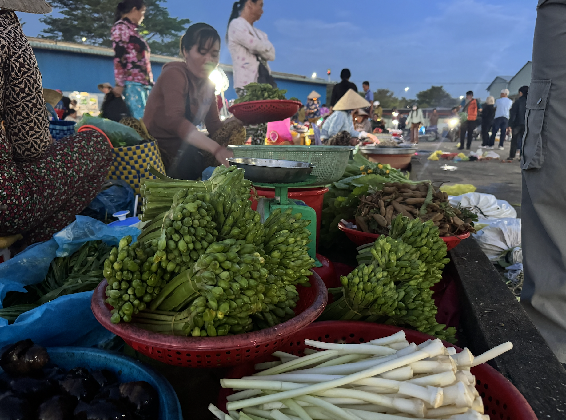 Cầm 100 . 000 Đồng trải nghiệm chợ chồm hổm ở Vị Thanh lúc 3 giờ sáng - Ảnh 3. Cầm 100 . 000 Đồng trải nghiệm chợ chồm hổm ở Vị Thanh lúc 3 giờ sáng - Ảnh 3.