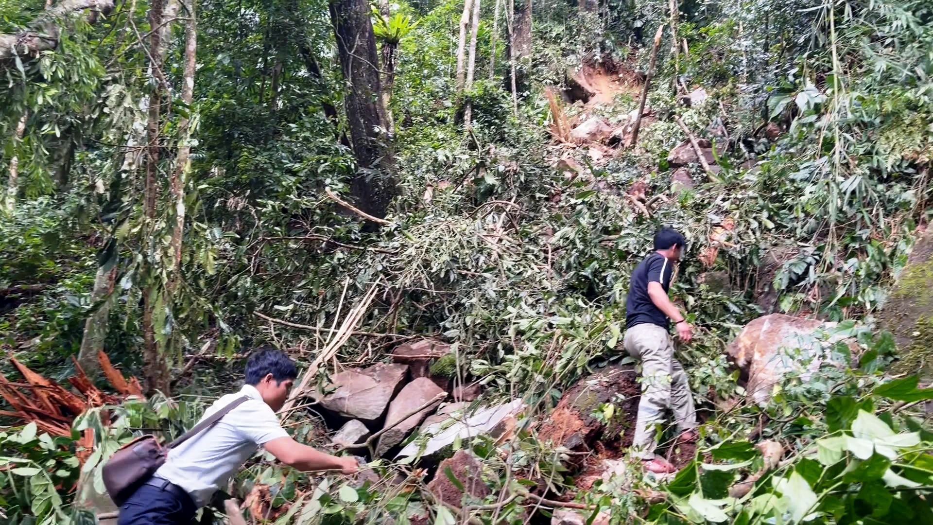Dư chấn hàng loạt trận động đất ở Quảng Ngãi: 'Rung chấn mà như muốn sập nhà' - Ảnh 2.