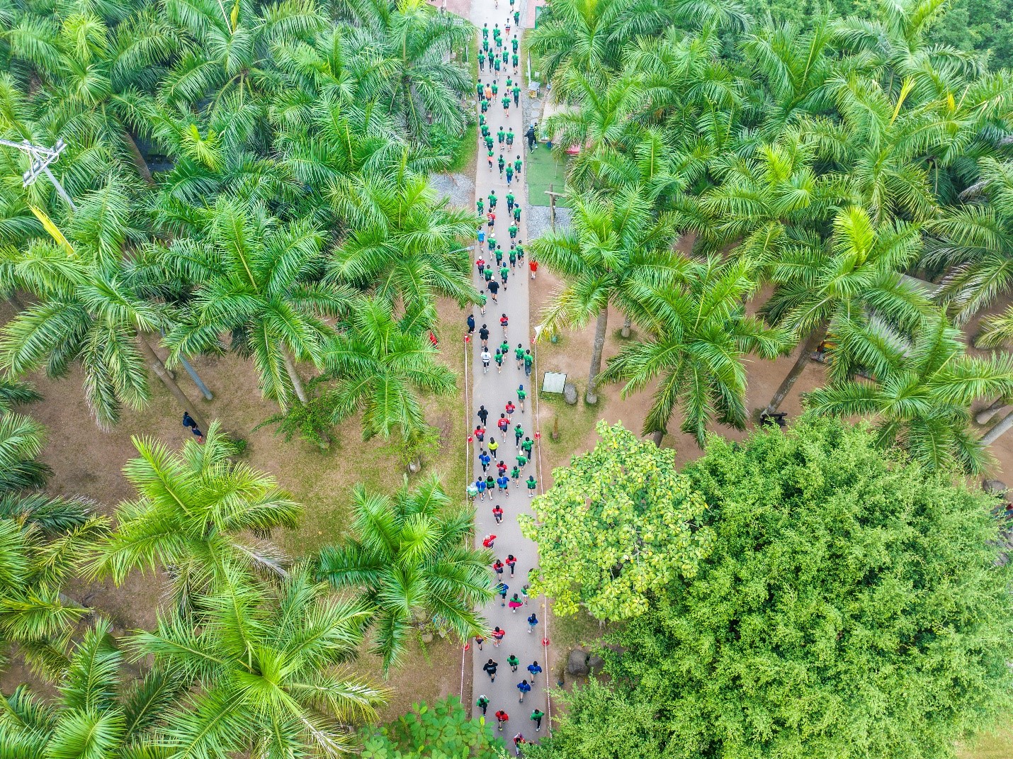 Đại đô thị xanh lớn hàng đầu Nghệ An khởi động giải chạy Eco Central Park Marathon- Ảnh 1.