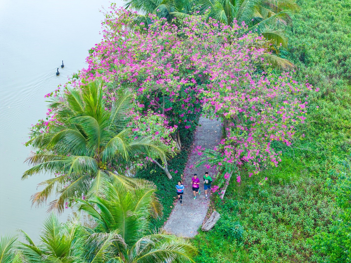 Đại đô thị xanh lớn hàng đầu Nghệ An khởi động giải chạy Eco Central Park Marathon- Ảnh 2.