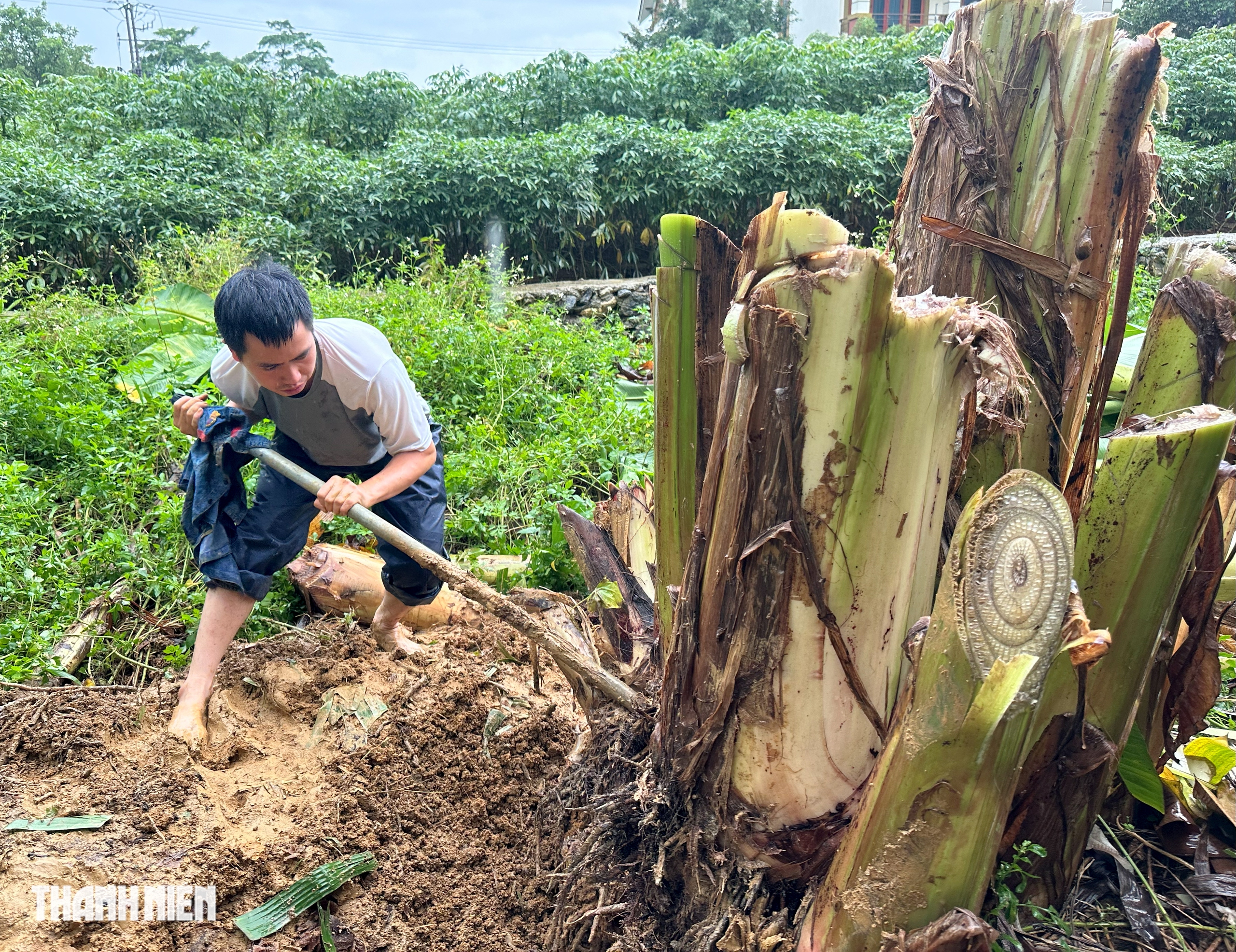 - Ảnh 4. - Ảnh 4.