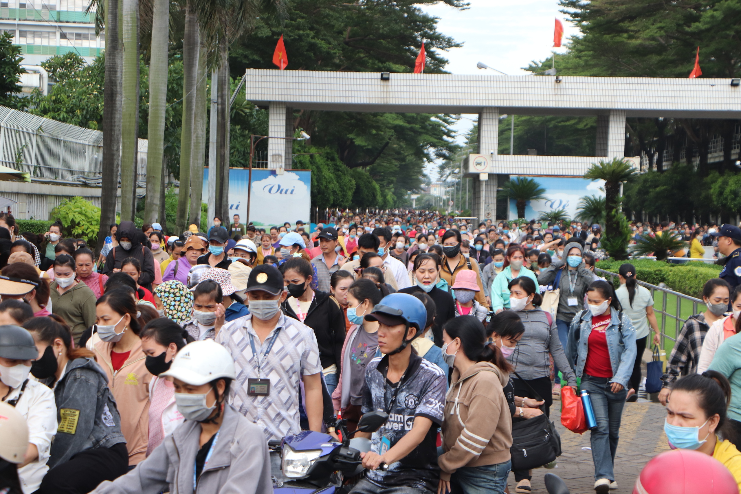 Giấc mơ Dang dở của lao động nhập cư tại tphcm: Thực trạng và tương lai - Ảnh 2. Giấc mơ Dang dở của lao động nhập cư tại tphcm: Thực trạng và tương lai - Ảnh 2.