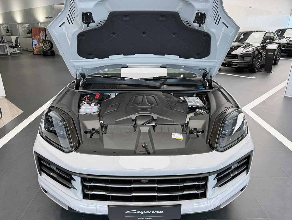 Mẫu SUV đắt nhất của Porsche kho&aacute;c 'lớp &aacute;o' trị gi&aacute; gần bằng VF 3 - Ảnh 9.