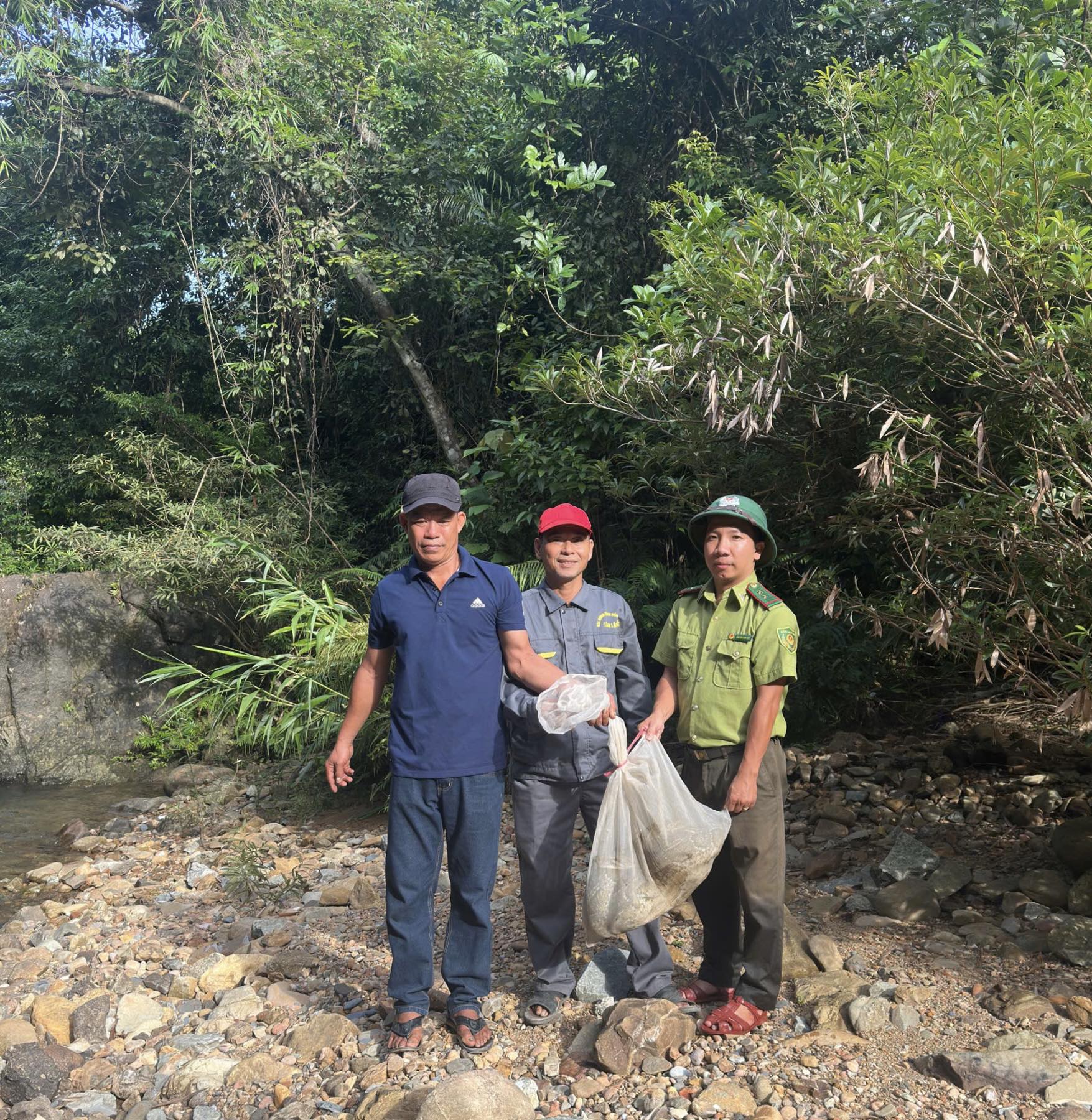 Trăn gấm 'khủng' vào vườn nhà người dân ở Huế tấn công gà, vịt- Ảnh 1.