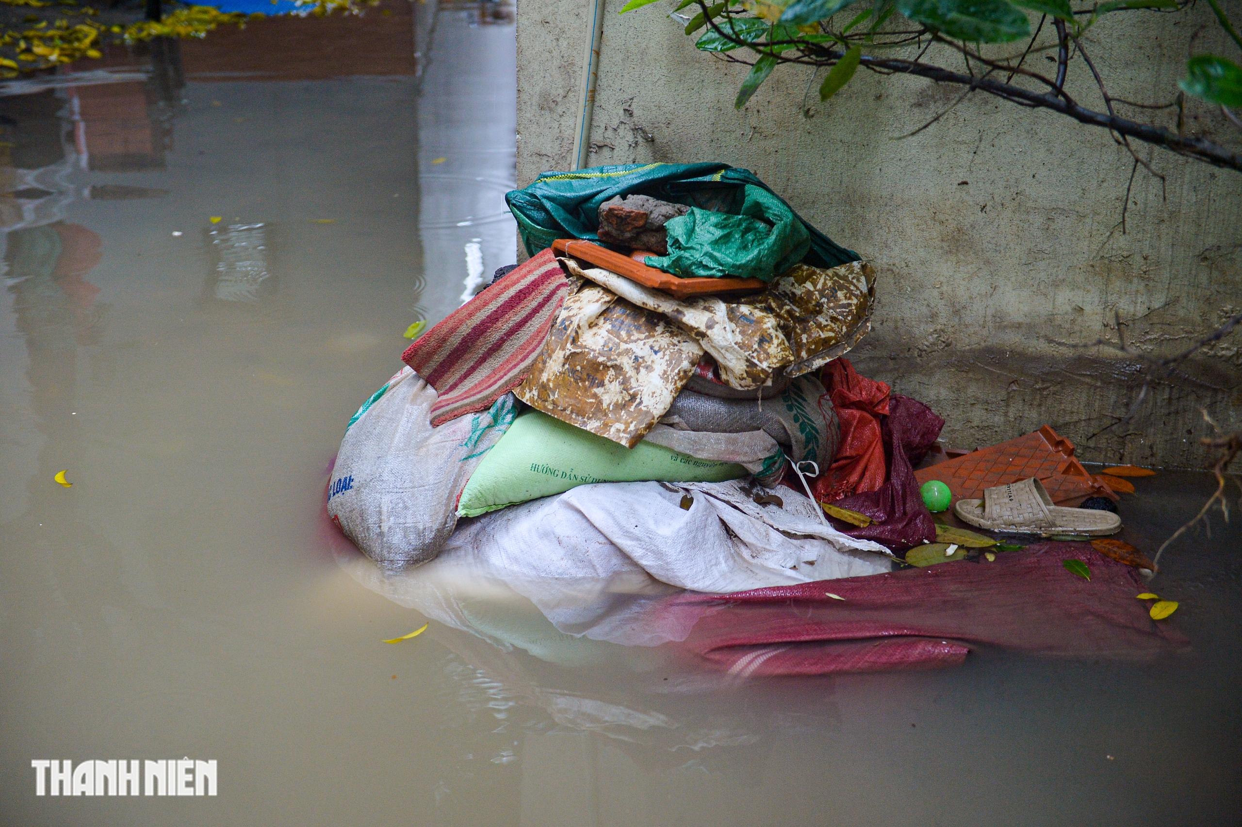 - Ảnh 5. - Ảnh 5.