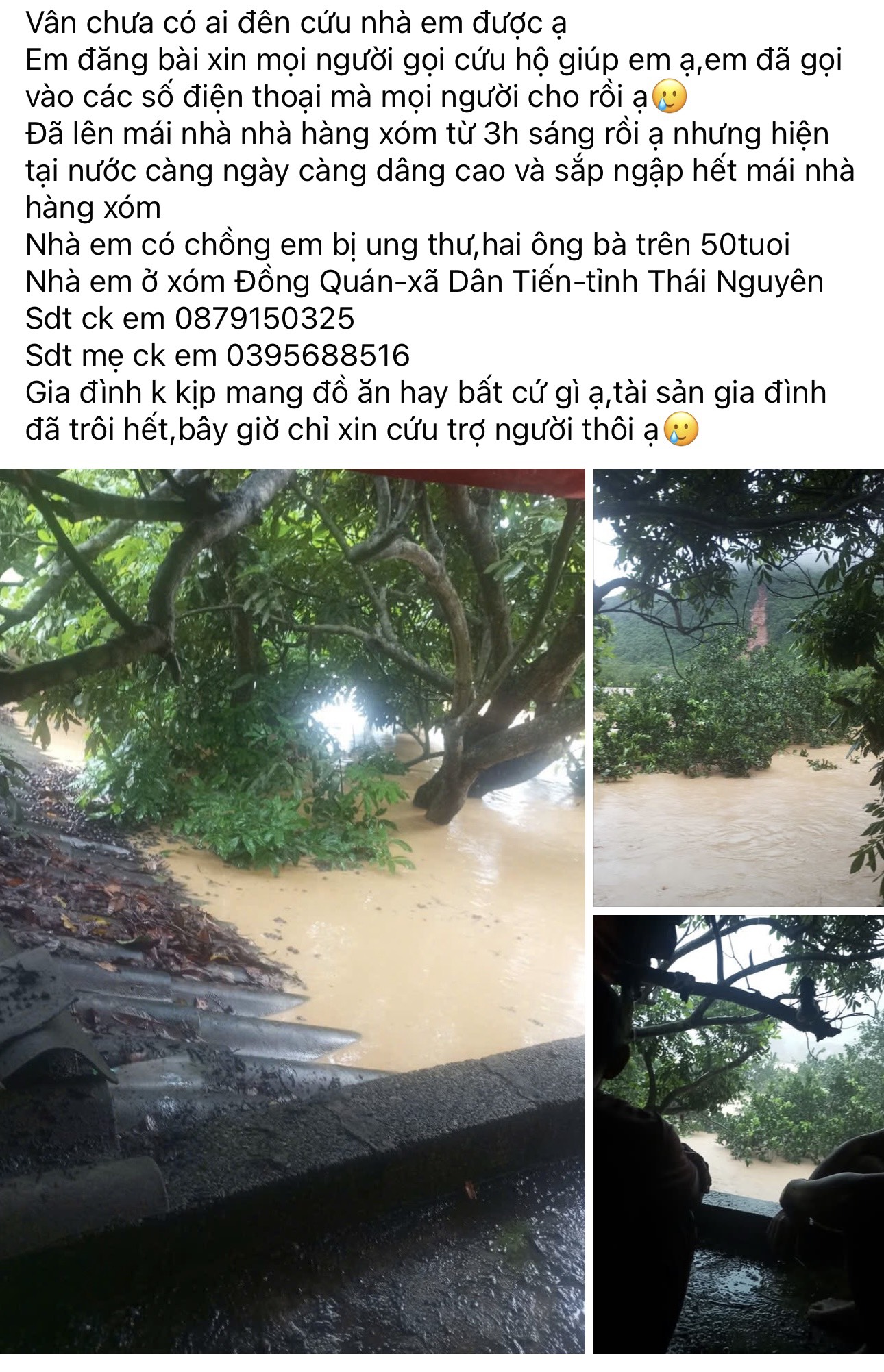 Nước lũ ở Thái Nguyên ngập đến cổ: 'Sợ quá, nước vẫn đang dâng'- Ảnh 6.