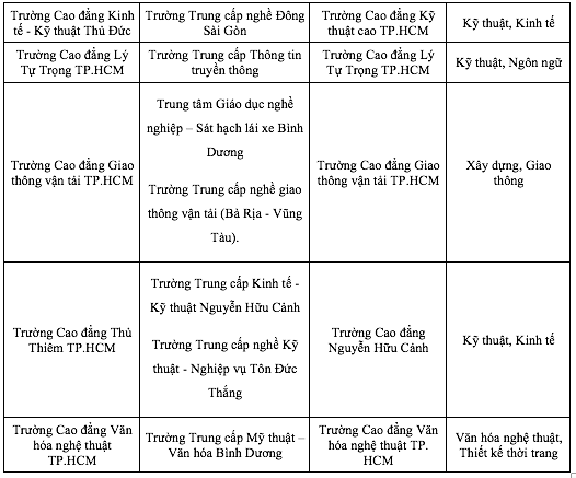 Phương án dự kiến sáp nhập hơn 30 đại học, cao đẳng, trung cấp của TP.HCM - Ảnh 3.