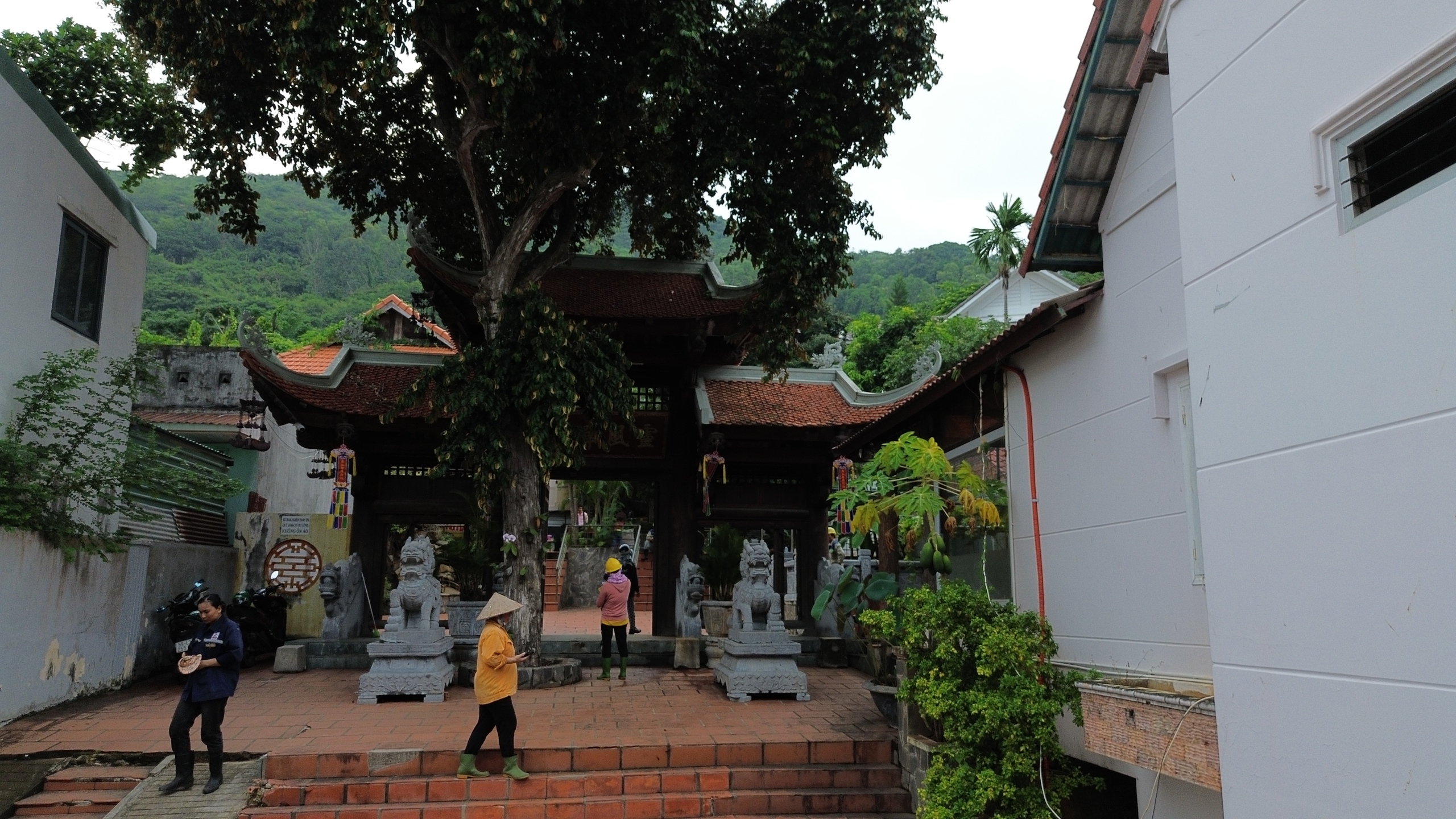 Chùa Linh Phong Thiền Uyển, nơi trưởng lão hòa thượng Thích Trí Tịnh khai sơn
