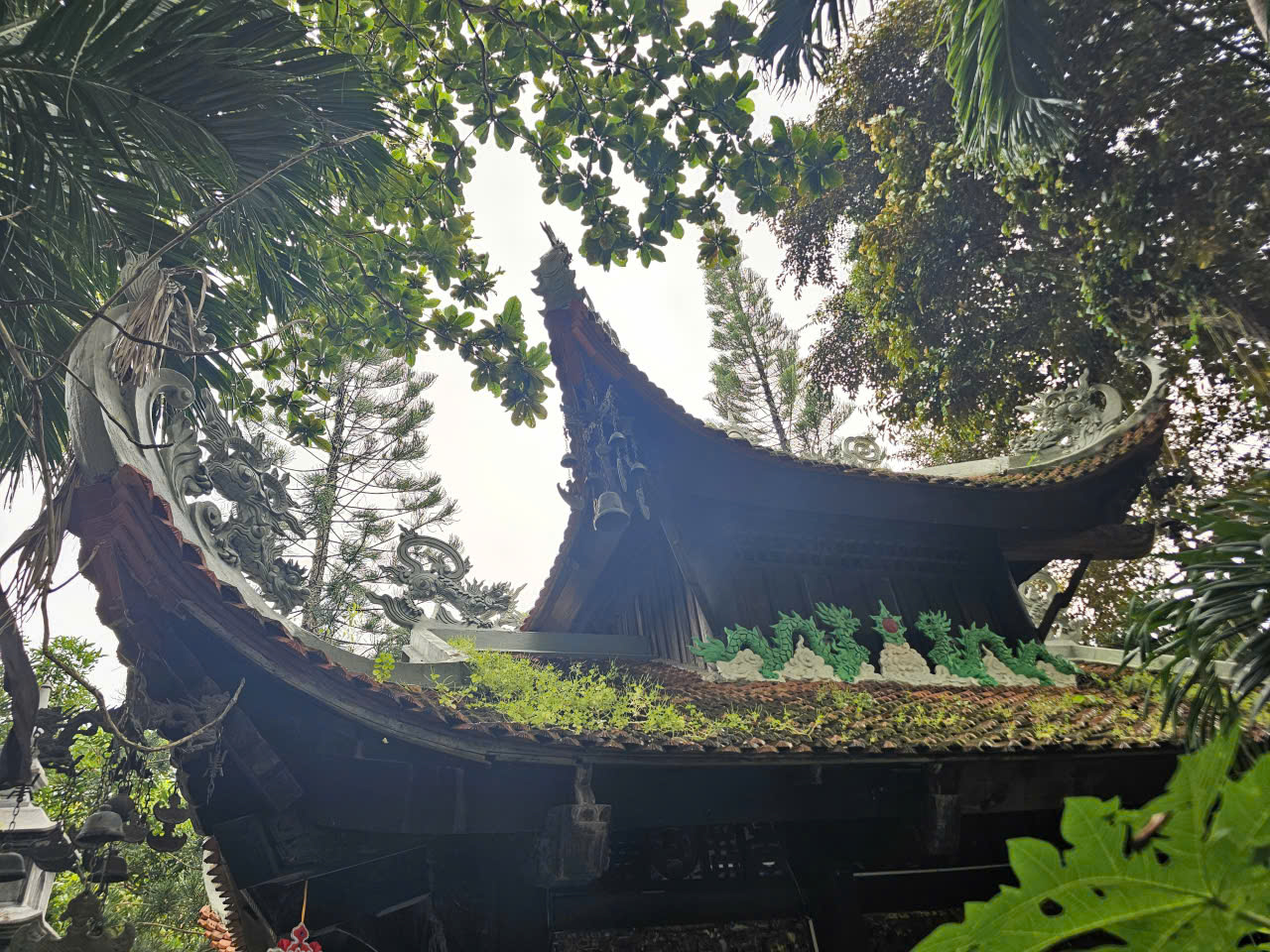 Chùa Linh Phong Thiền Uyển, nơi trưởng lão hòa thượng Thích Trí Tịnh khai sơn