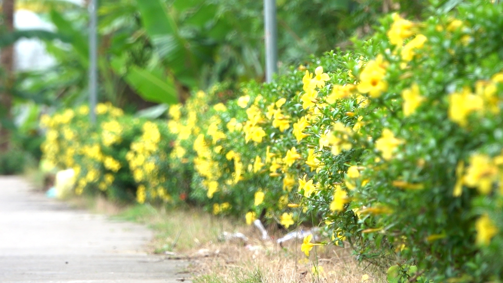 Thợ sửa xe U.80 hơn 15 năm miệt m&agrave;i l&agrave;m đẹp đường qu&ecirc; miền T&acirc;y  - Ảnh 2.