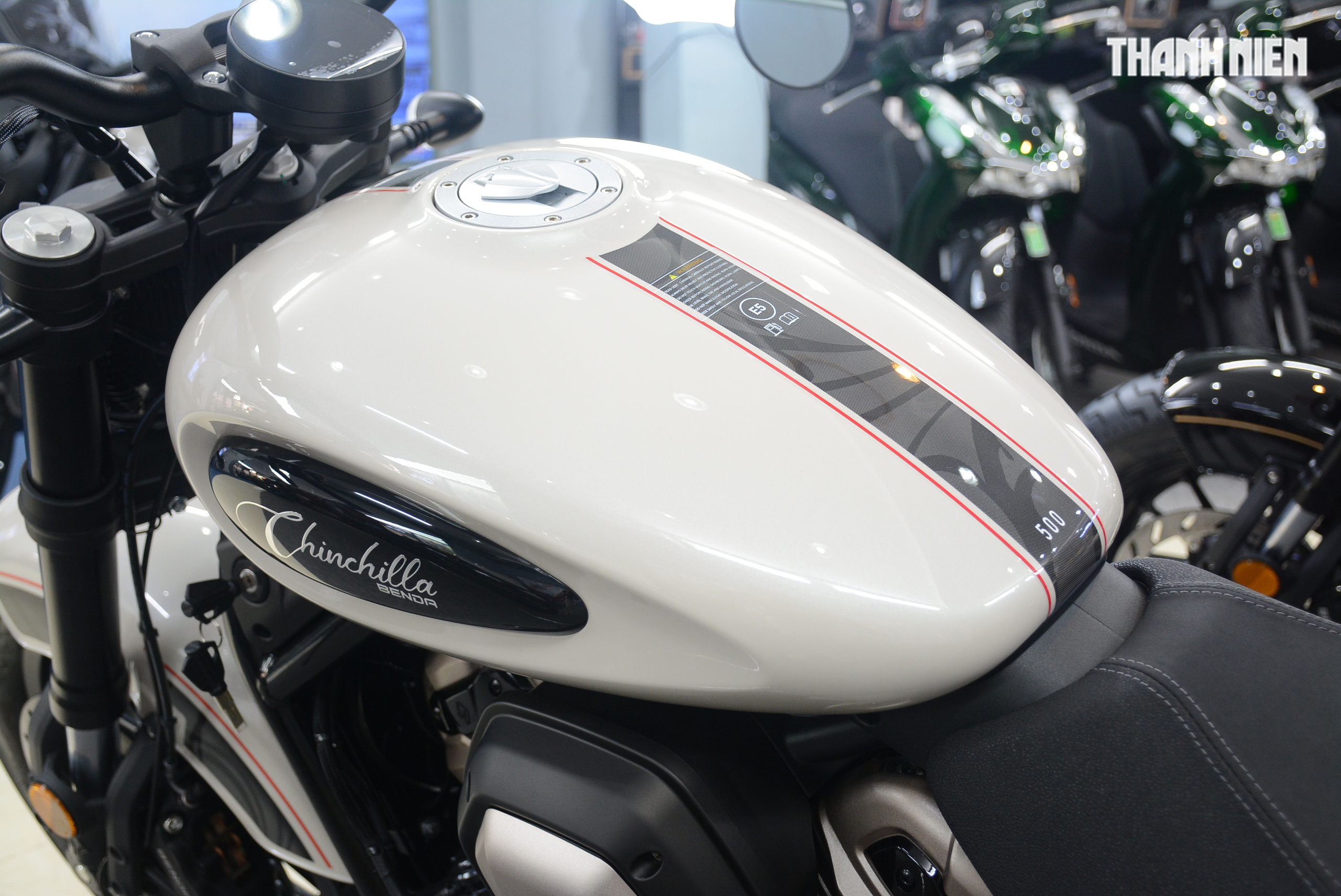 'Xế nổ' hầm hố Benda Chinchilla 500 đầu ti&ecirc;n về Việt Nam, cạnh tranh Honda Rebel 500 - Ảnh 5.
