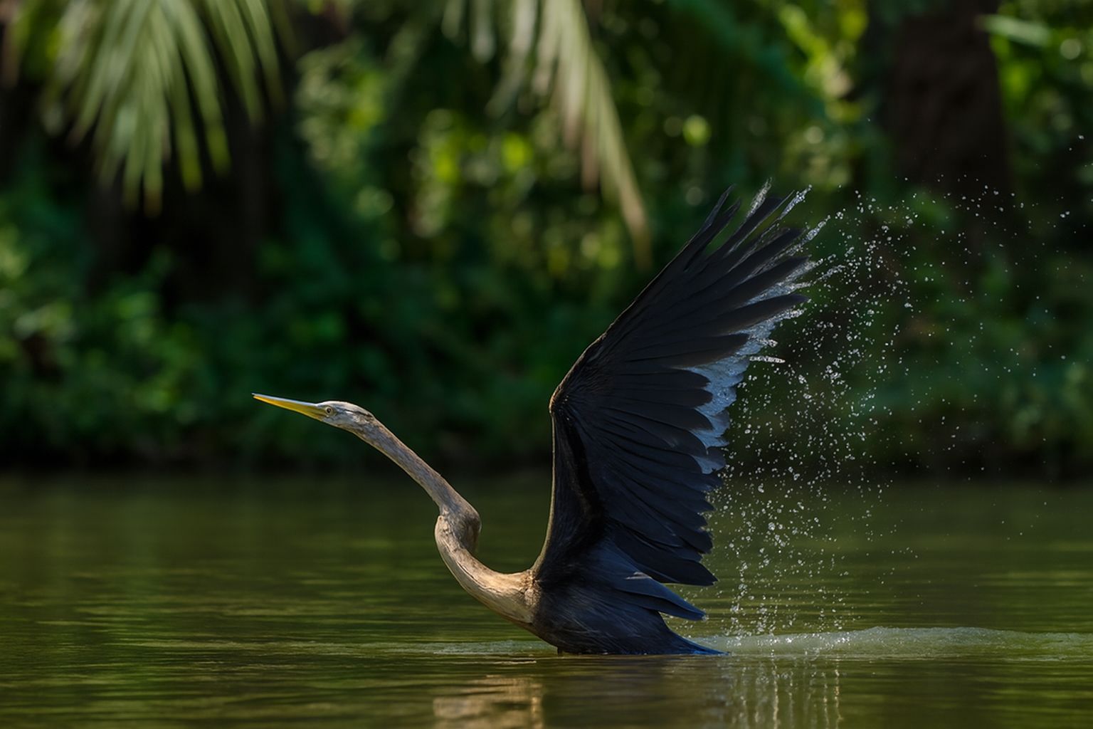 Lang thang trên sông Sài Gòn - Ảnh 2.
