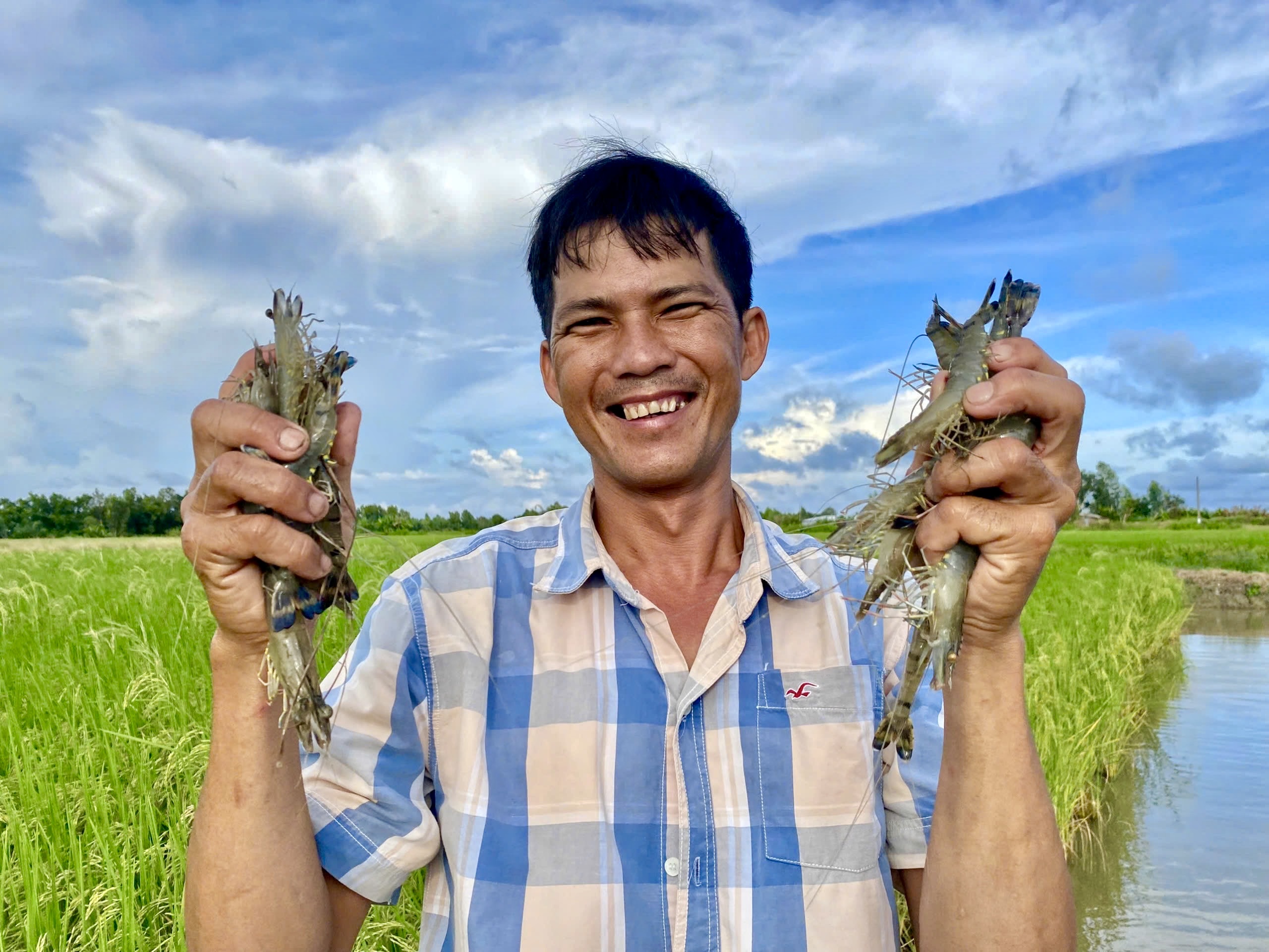 Vì sao Gạo Ông Cua ST25 ngon không loại gạo nào sánh được? - Ảnh 6.