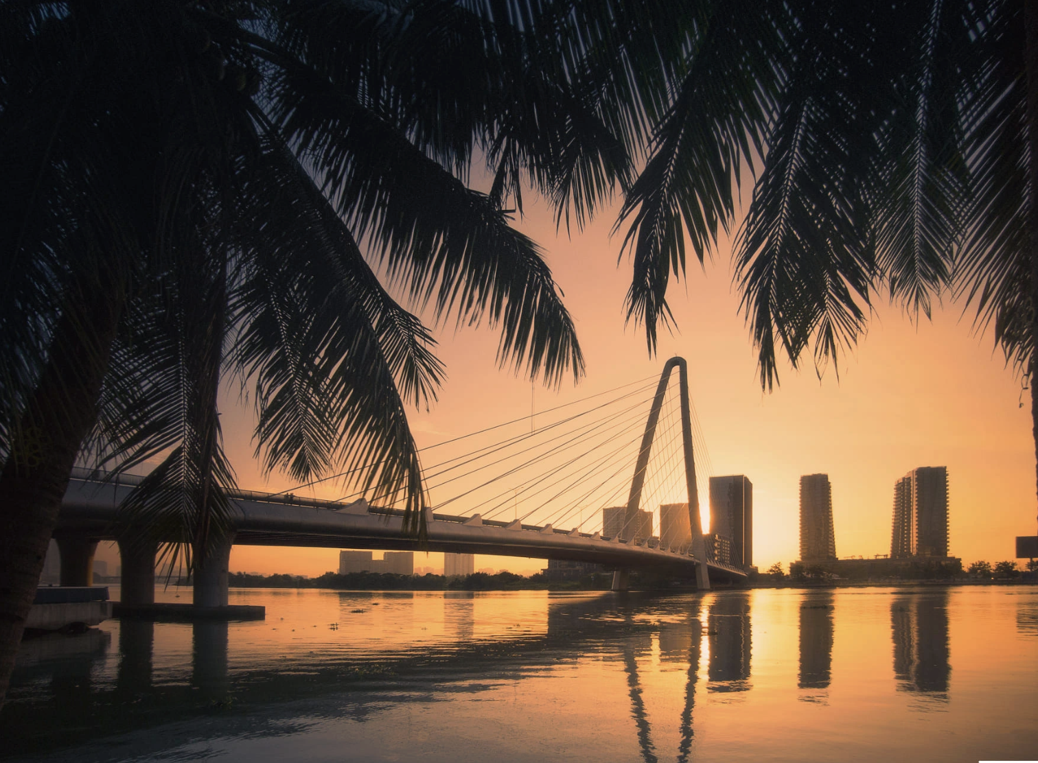 Lang thang trên sông Sài Gòn - Ảnh 3.