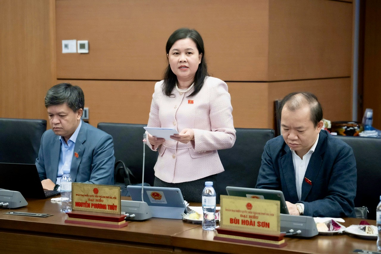 Đại biểu Quốc hội nói gì về quyền cưỡng chế thi hành án cho tư nhân? - Ảnh 3.