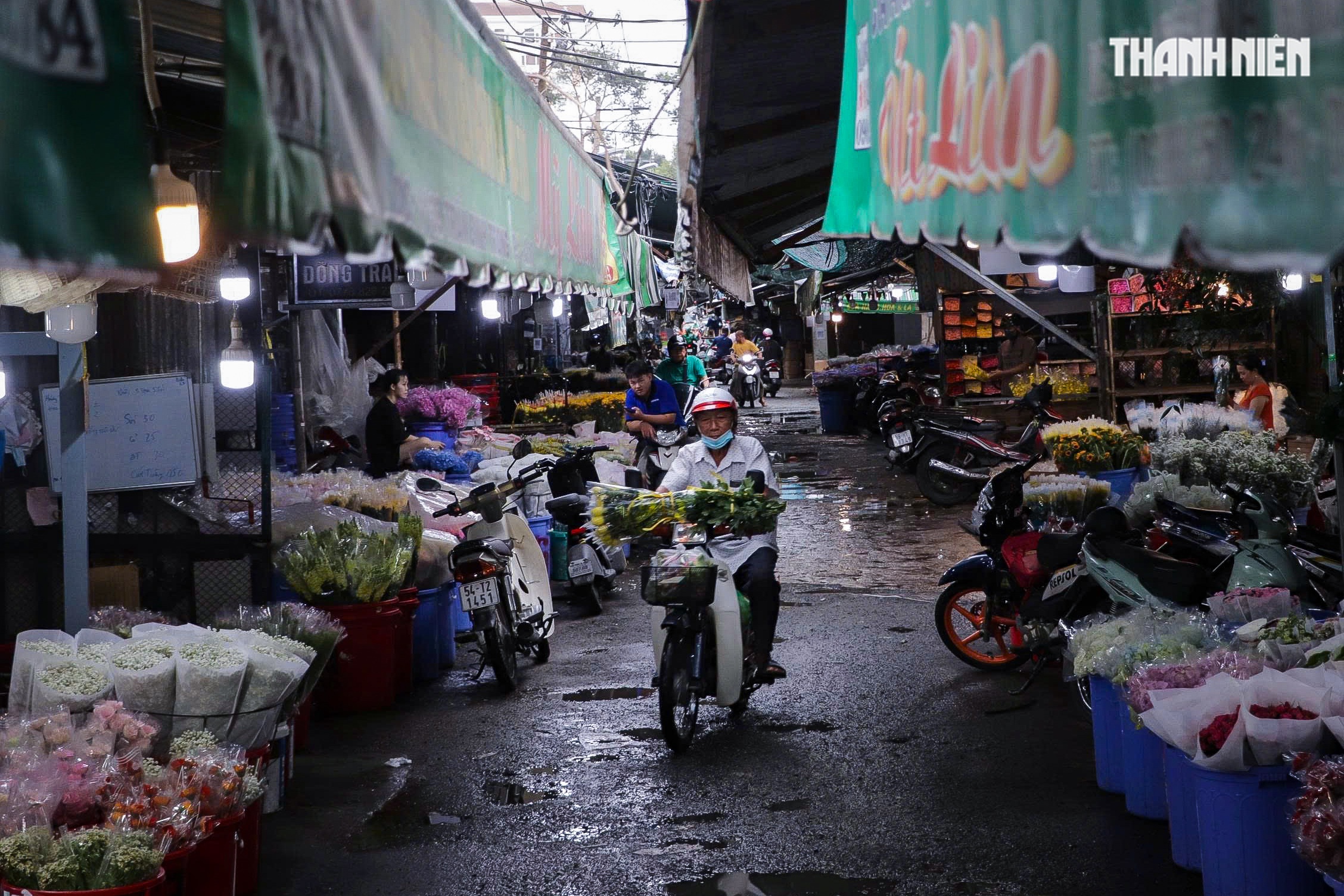Mở rộng đường Trần Bình Trọng kết nối ‘đất vàng' Lý Thái Tổ tại TP.HCM - Ảnh 3.