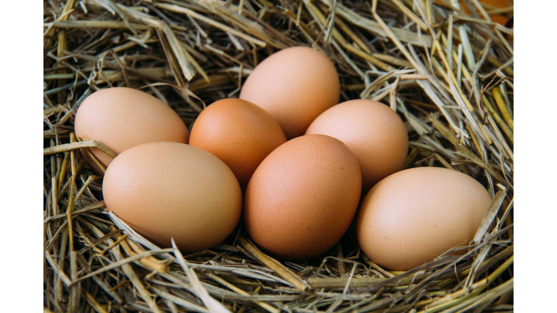 Một thói quen nhỏ trước khi nấu trứng giúp bạn tránh ngộ độc! - Ảnh 1.